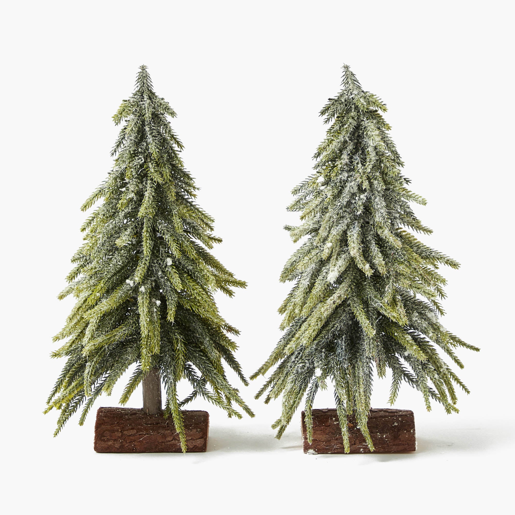 Frosted Fir Tree Family