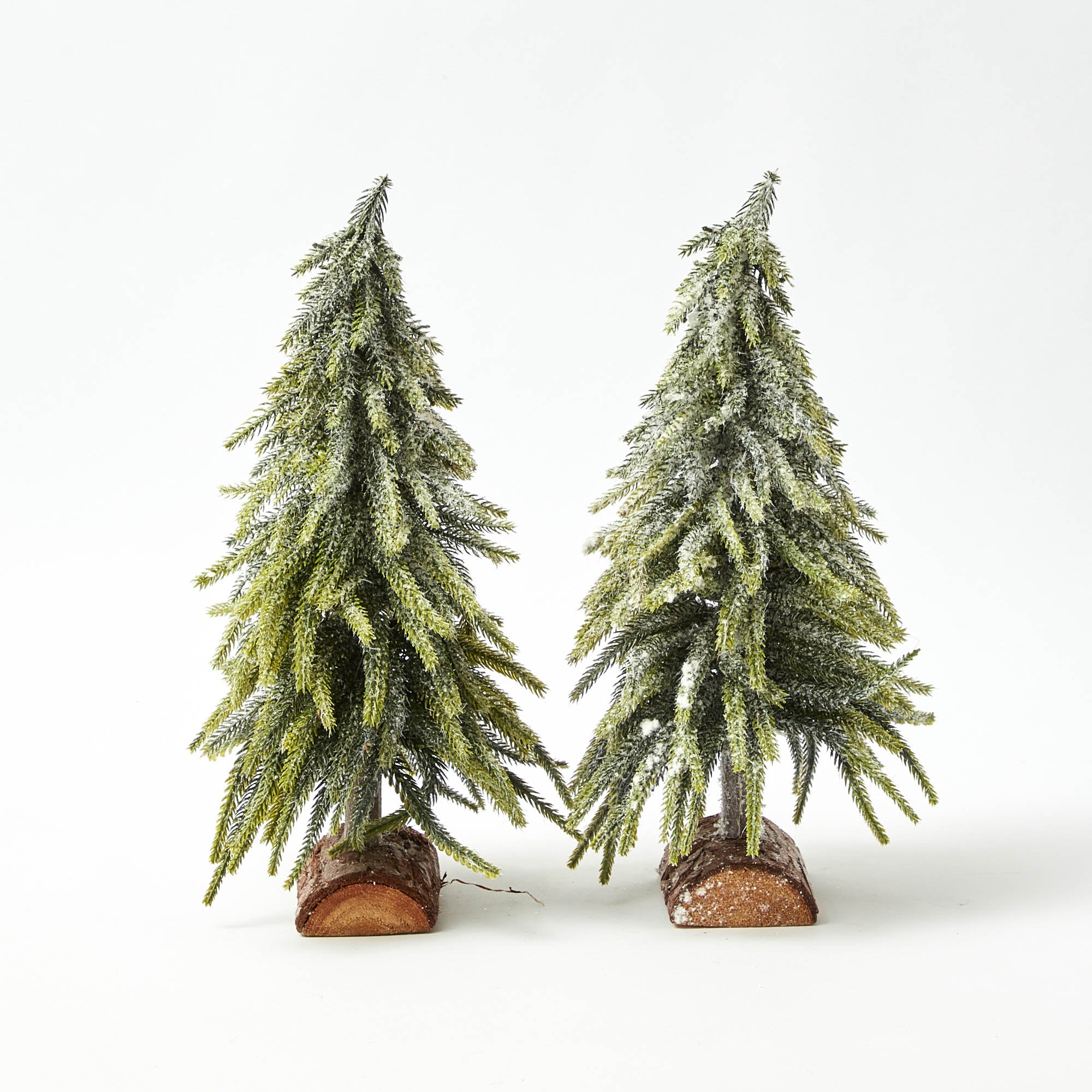 Frosted Fir Tree Family