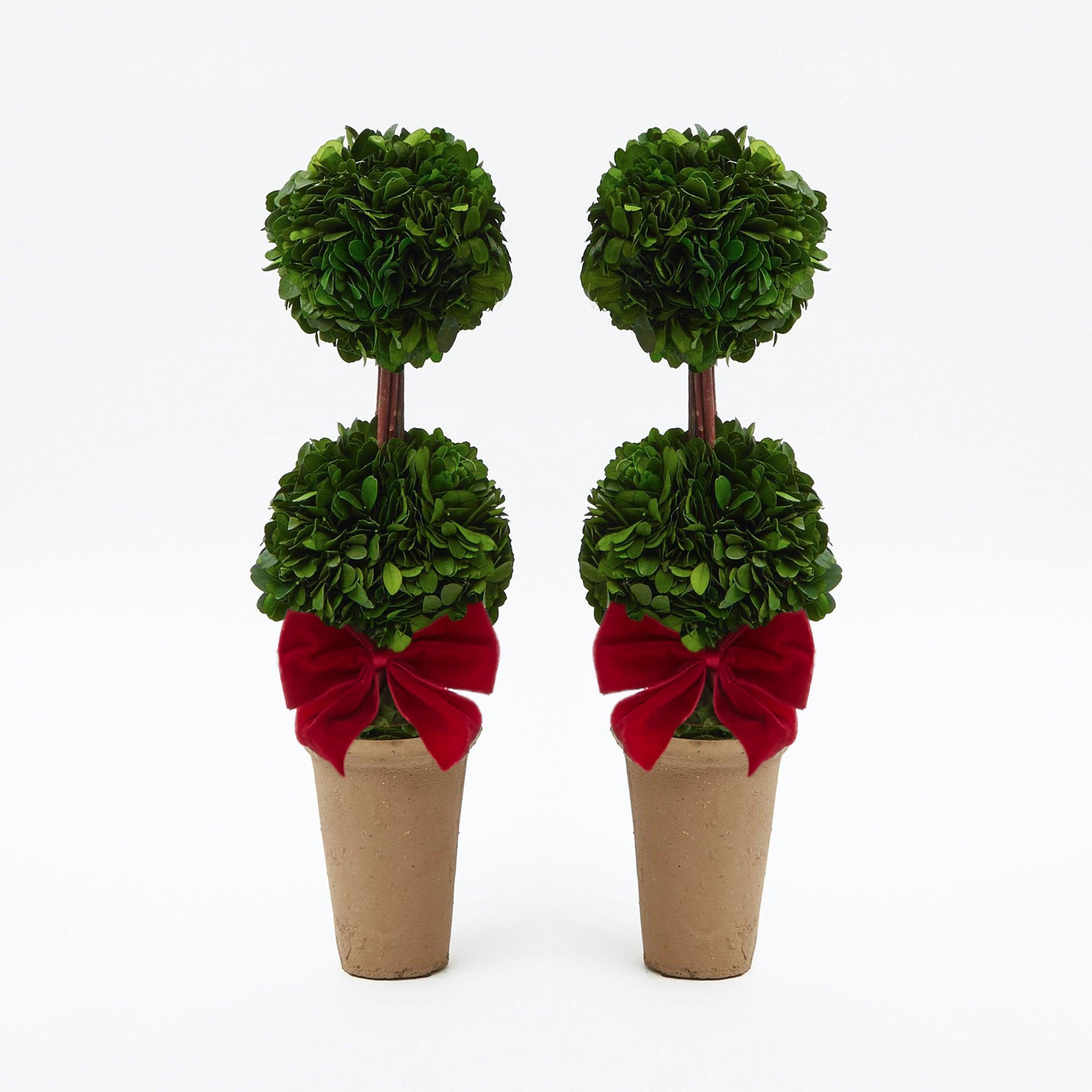 Red Ribboned Double Potted Boxwood Ball (Pair) Mrs. Alice