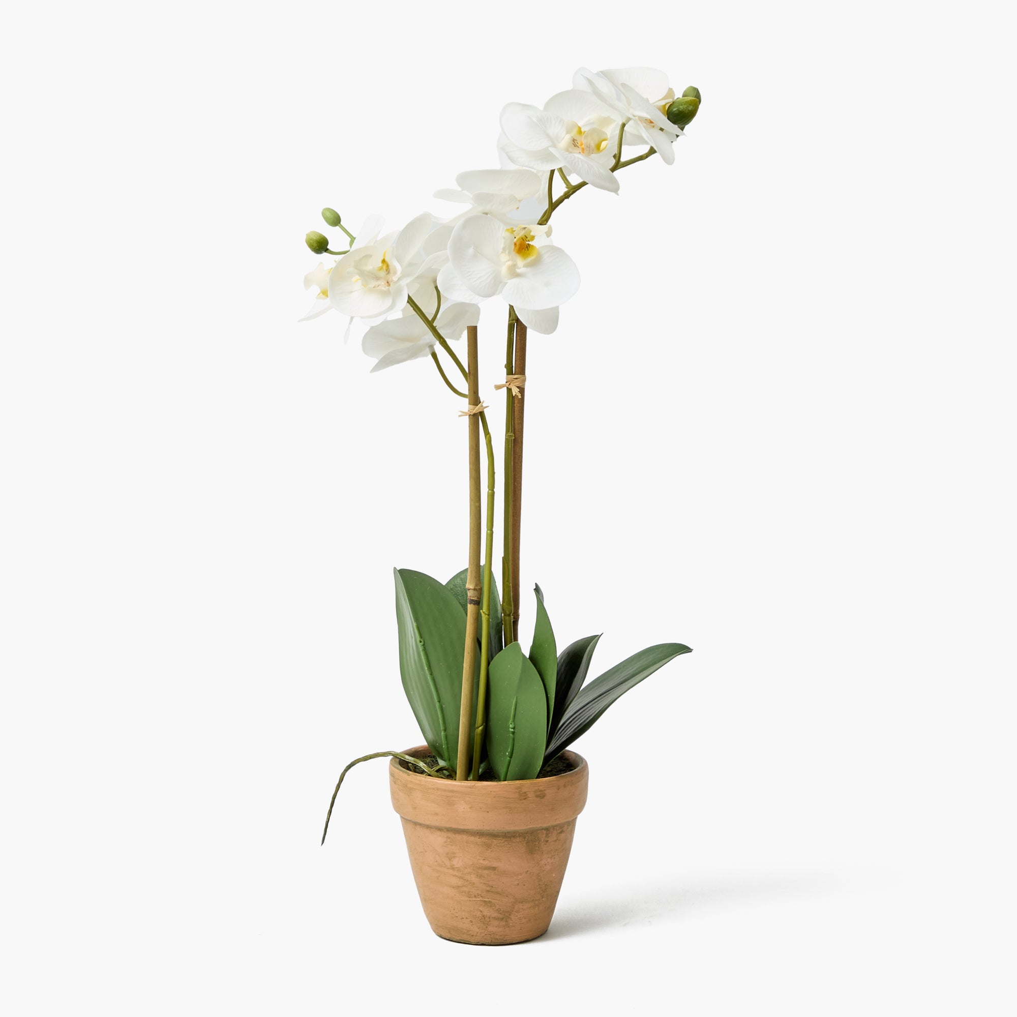 Double Stem Potted Faux Orchid