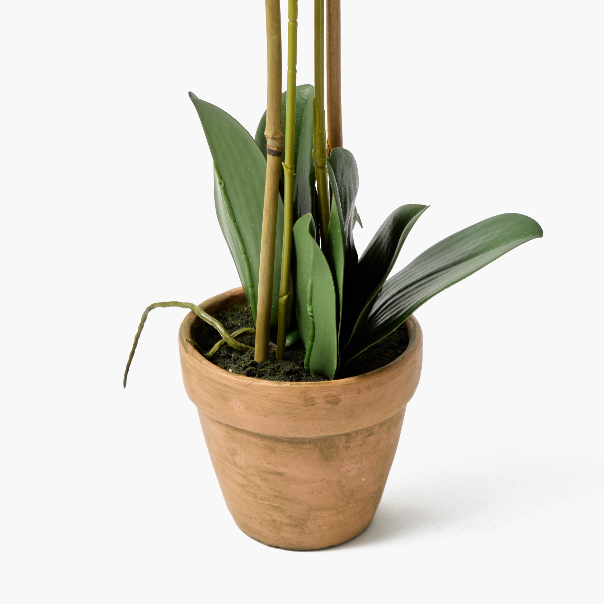 Double Stem Potted Faux Orchid