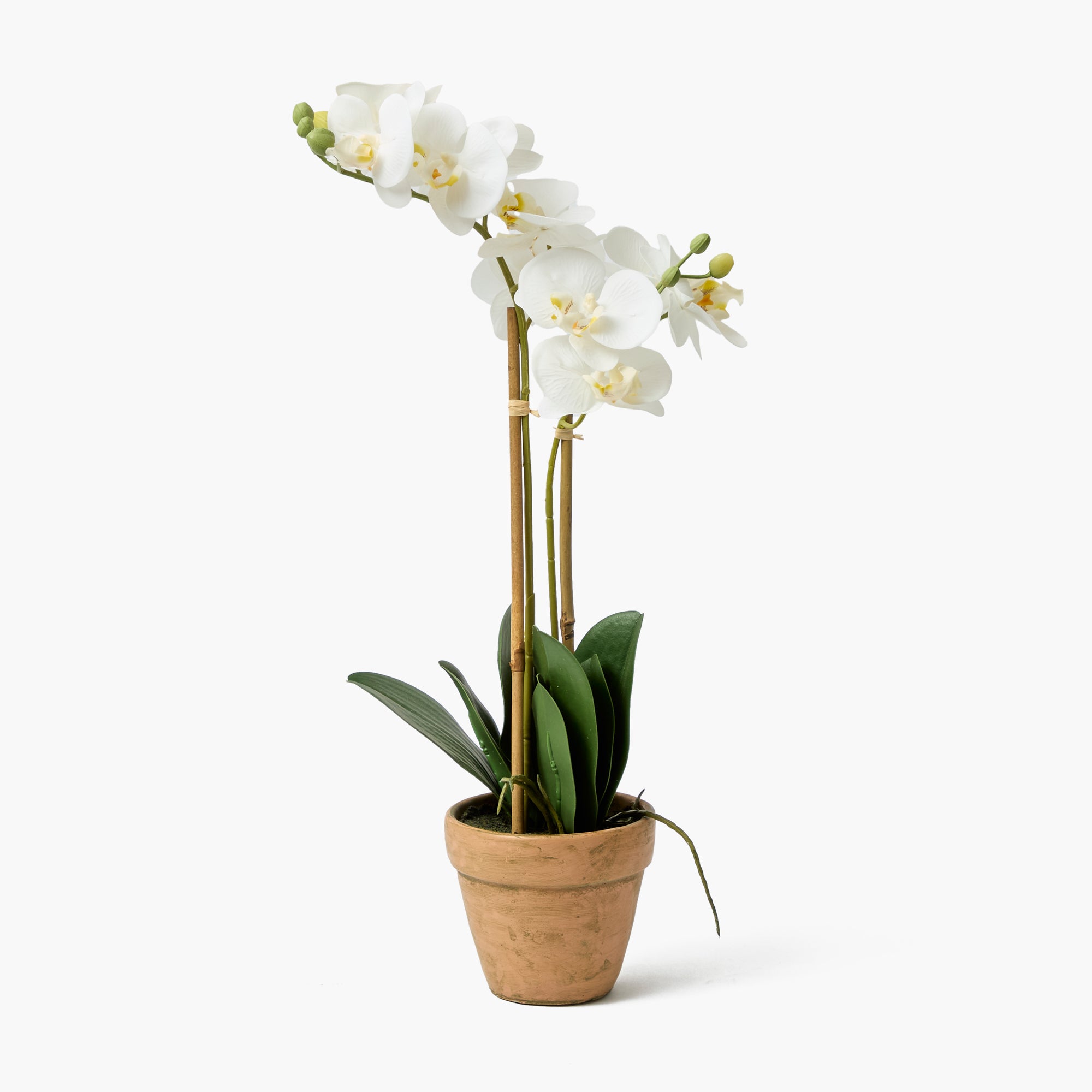 Double Stem Potted Faux Orchid