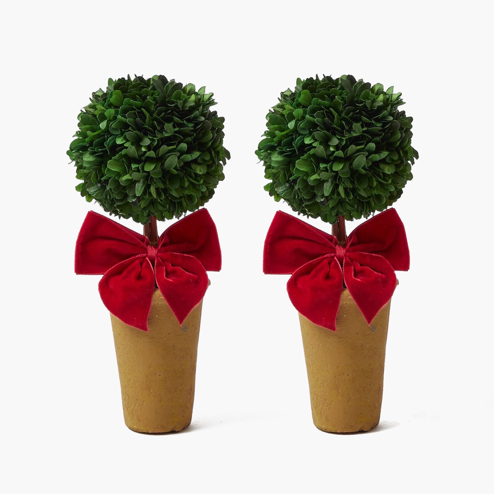 Add a dash of festivity to your holiday celebrations with the Joy of Christmas Tablescape, featuring joyful decorations and tableware that make your gatherings unforgettable.