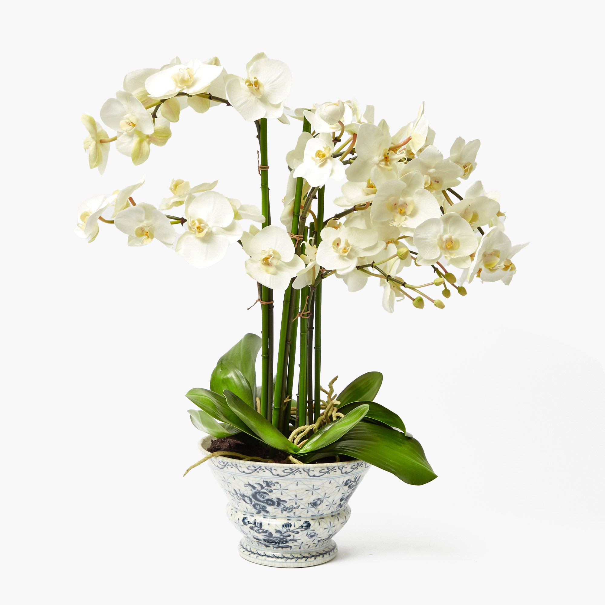 faux orchid plant in pot Faux Orchid in Chinoiserie Planter