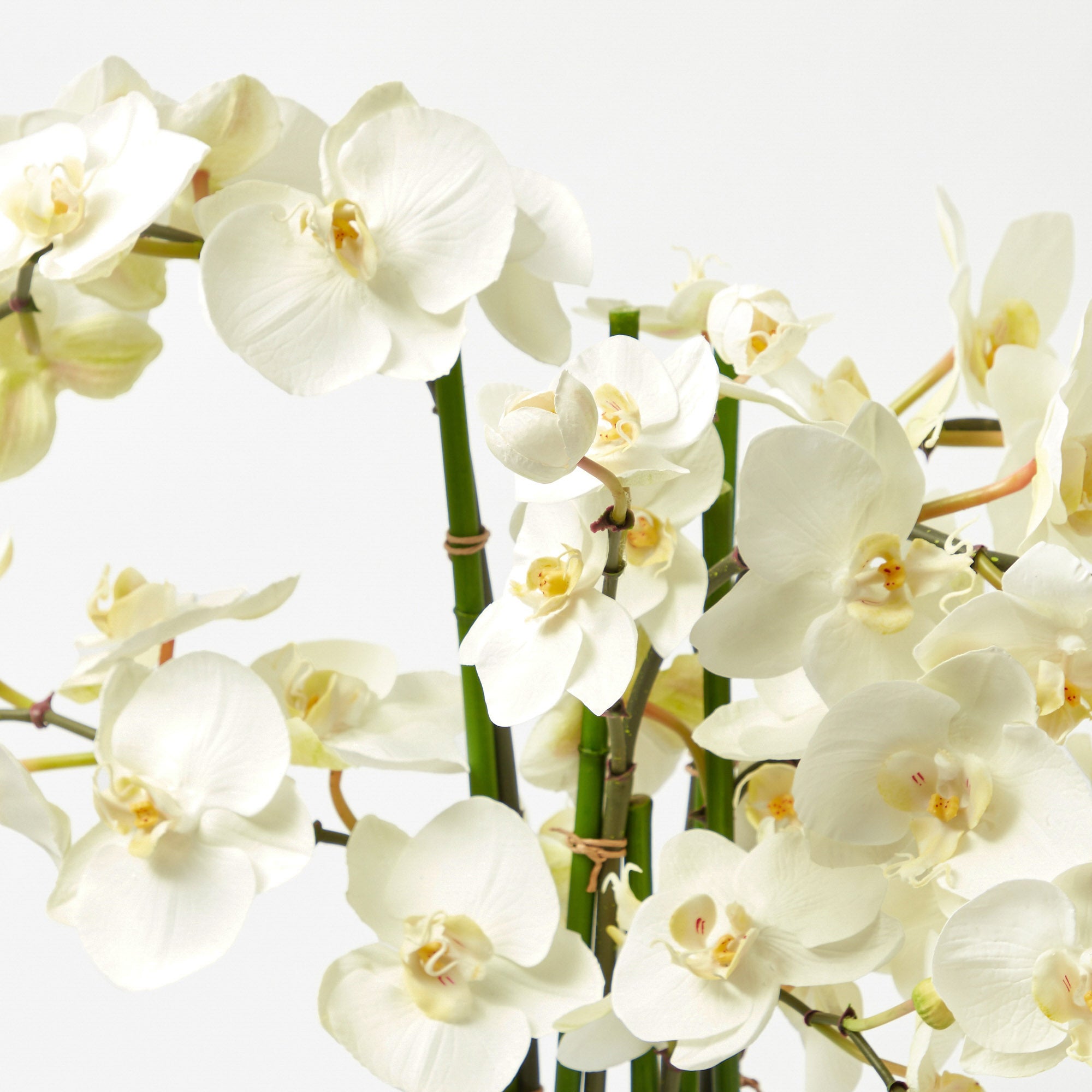 Faux Orchid in Chinoiserie Planter