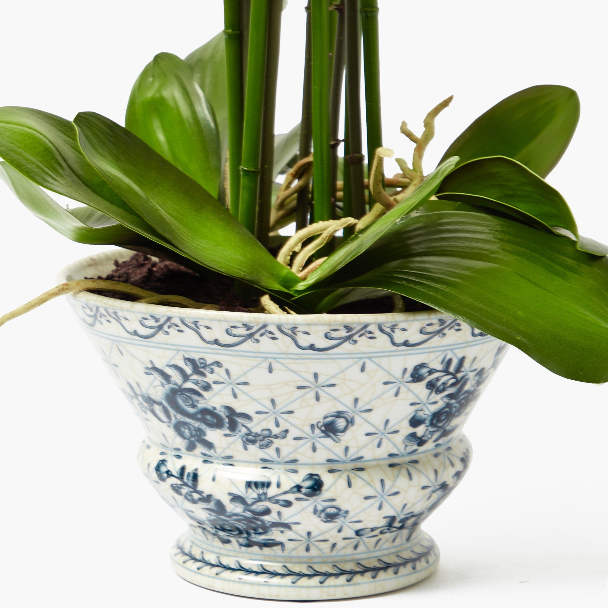 Faux Orchid in Chinoiserie Planter