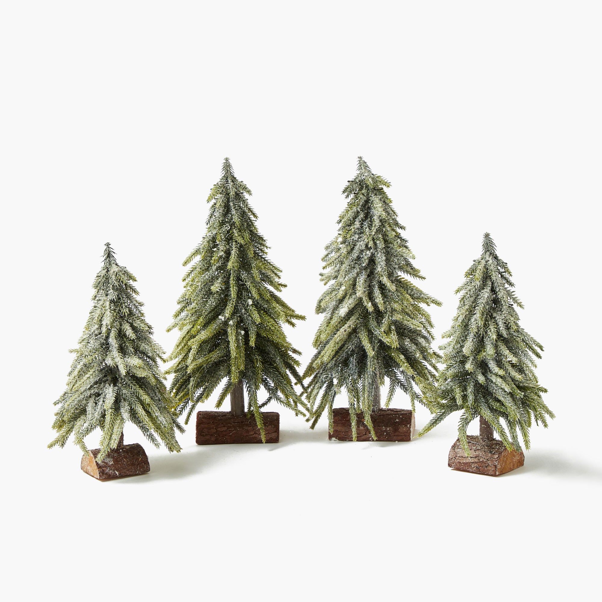 Frosted Fir Tree Family