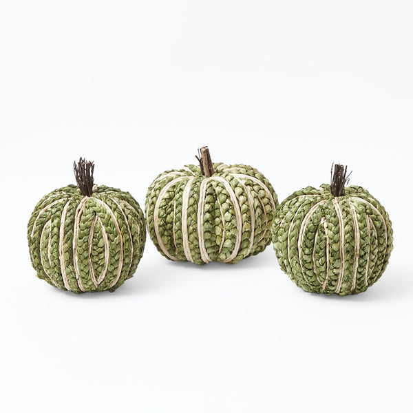 Moss Green Plaited Pumpkin Family: Rustic charm.