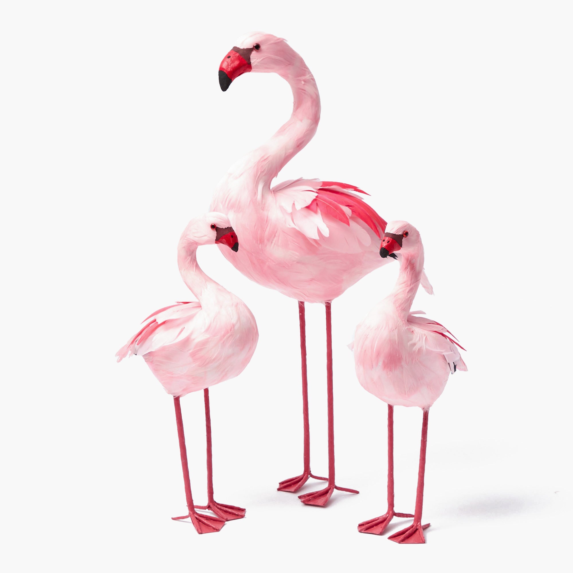 Faye Flamingo Family
