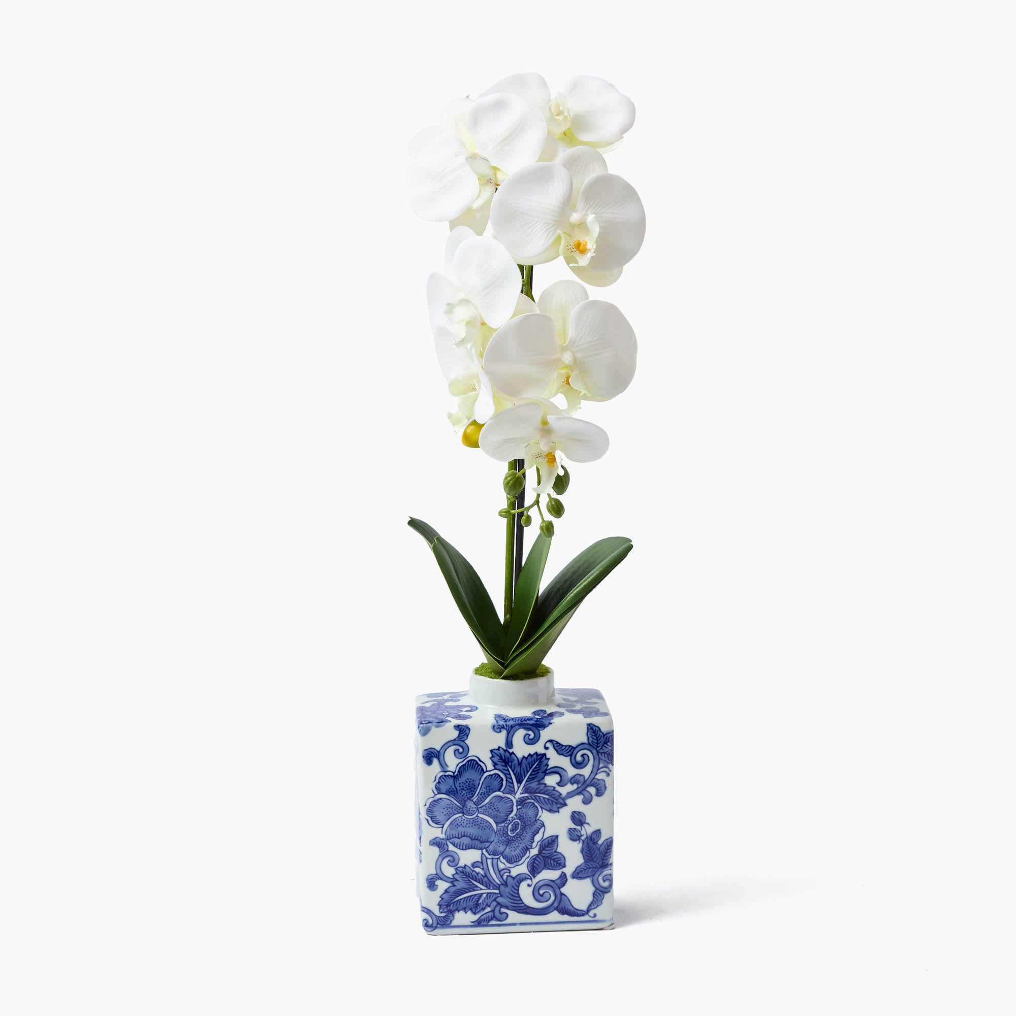 Faux Orchid in Chinoiserie Vase