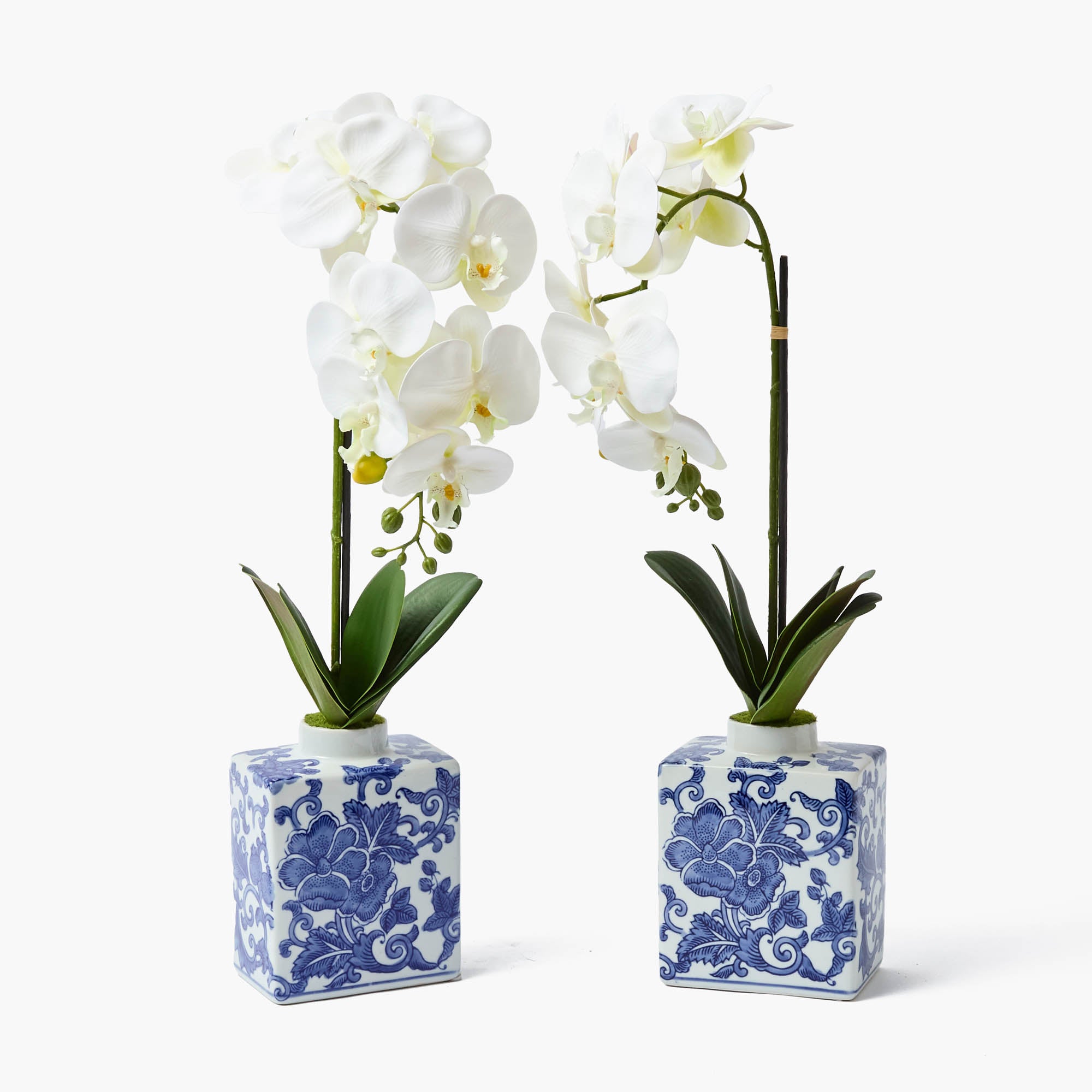 Faux Orchid in Chinoiserie Vase