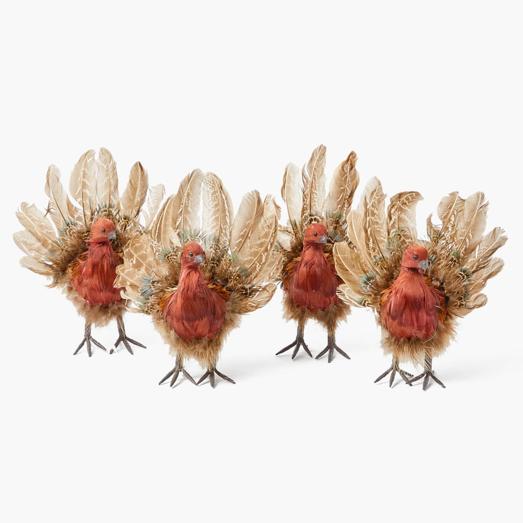 Tina The Tiny Turkey (Set of 4)