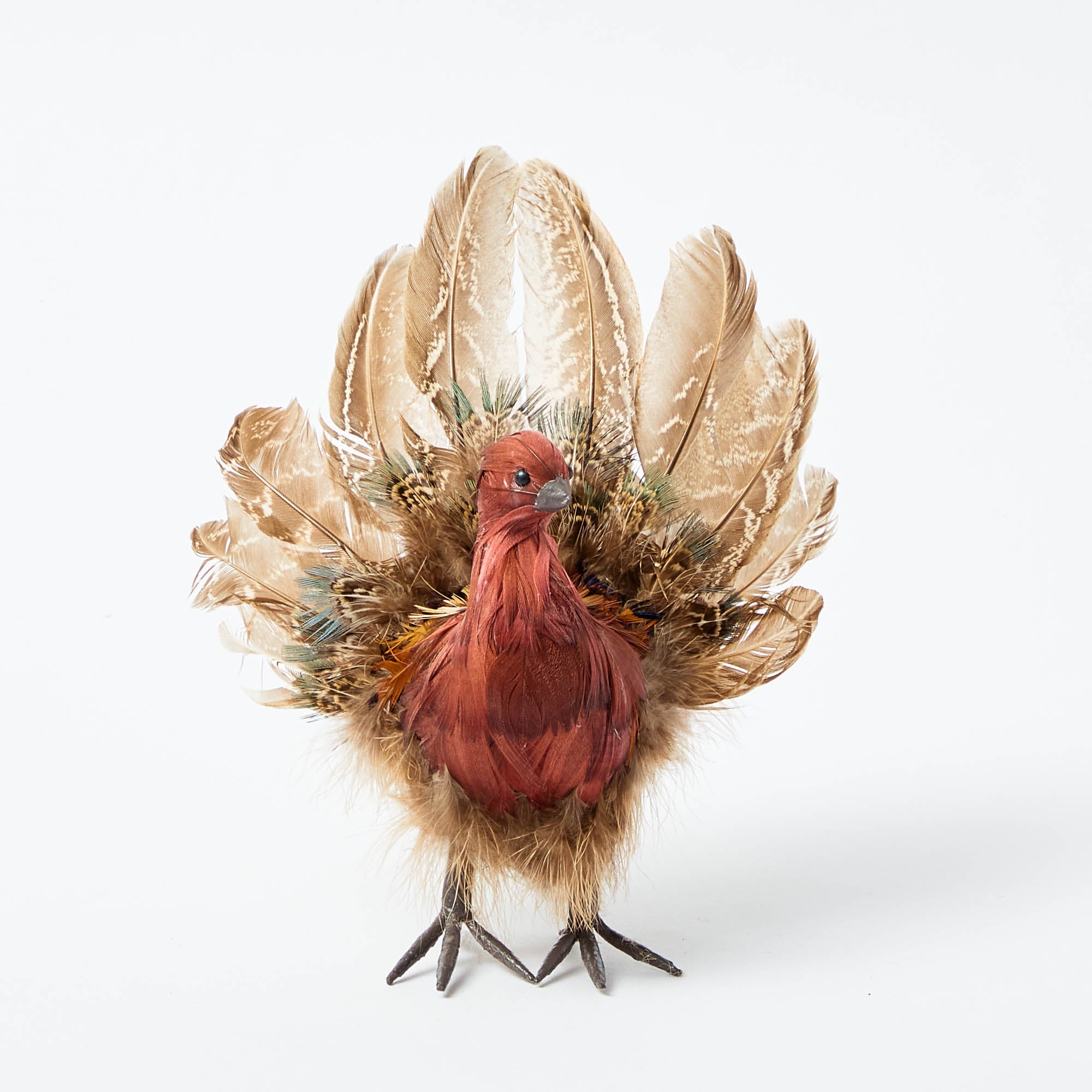 Tina The Tiny Turkey (Set of 4)