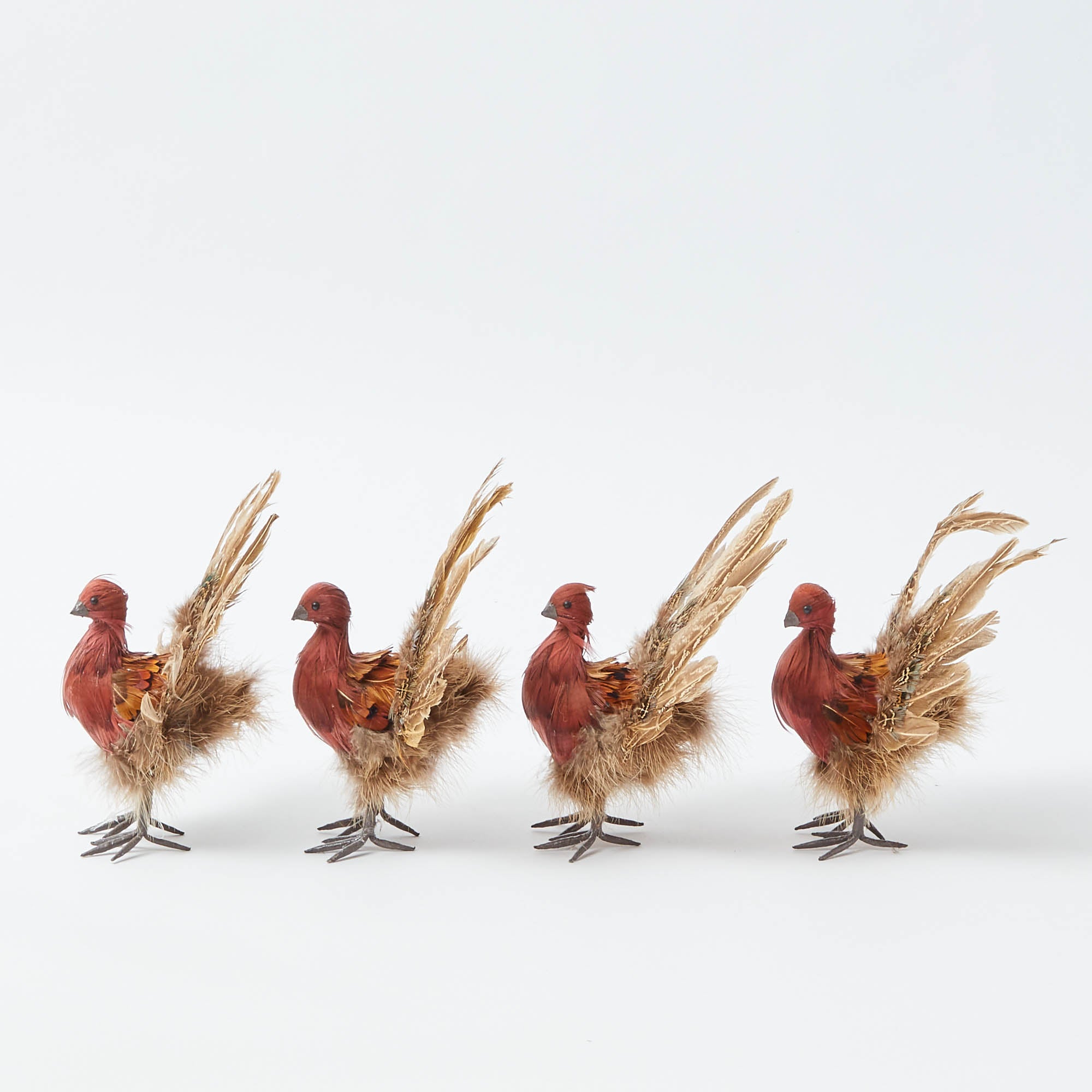 Tina The Tiny Turkey (Set of 4)