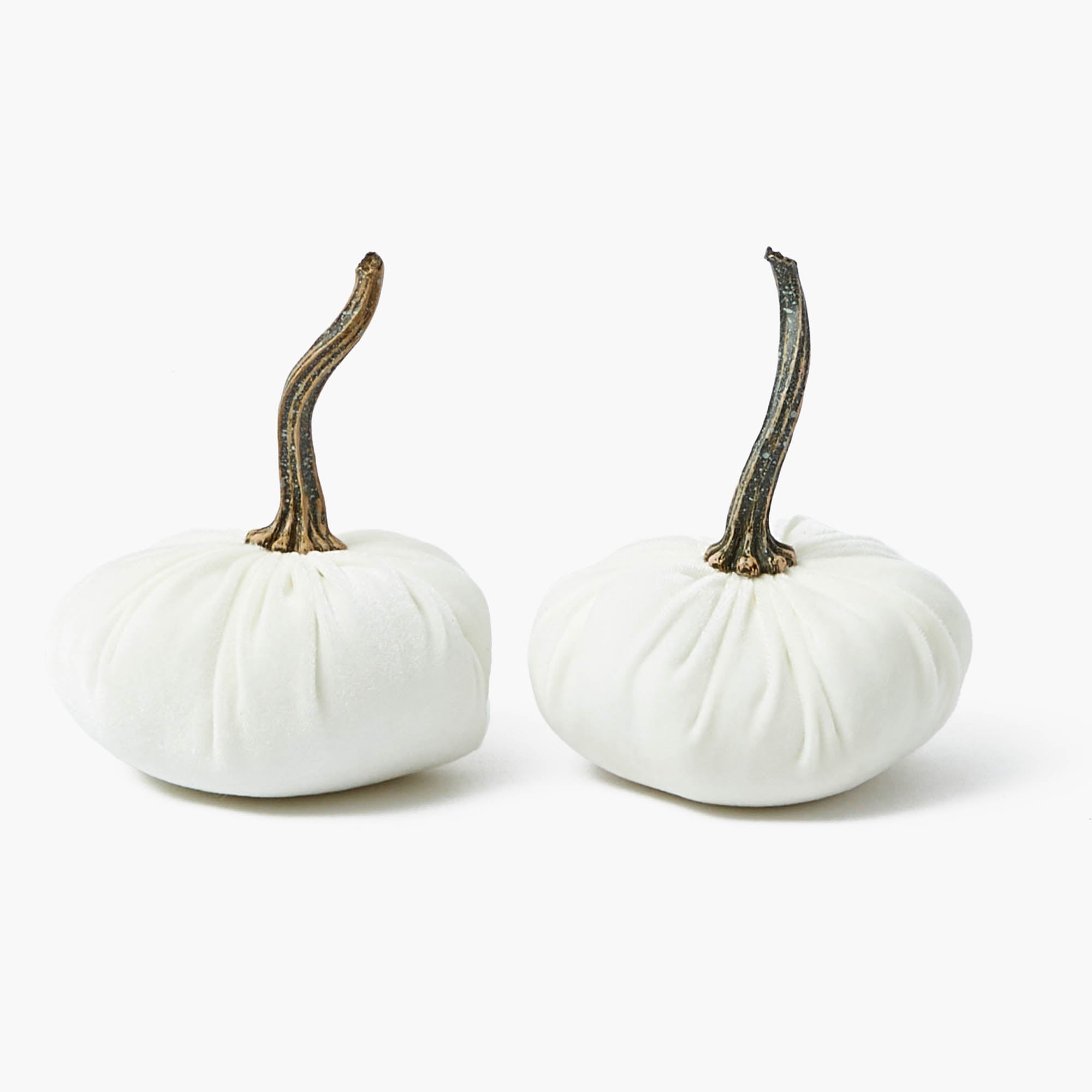 Moss Green & White Velvet Pumpkin Family