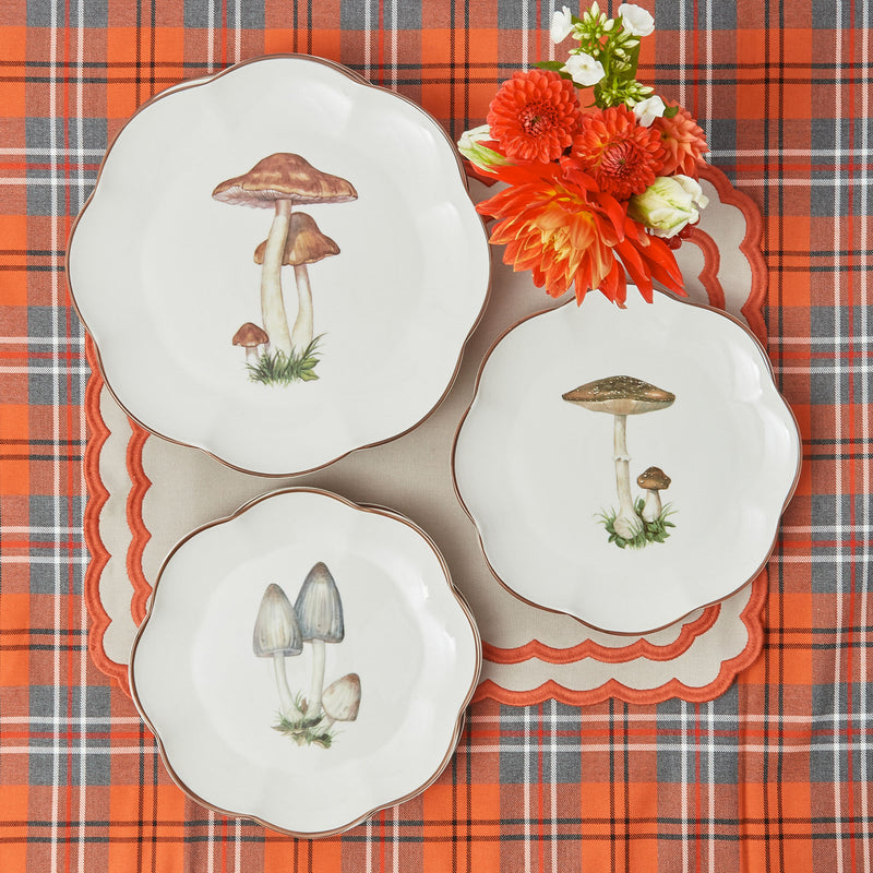 Redefine your table aesthetics with the Scalloped Mushroom Starter Plates, now available in a set of 28.