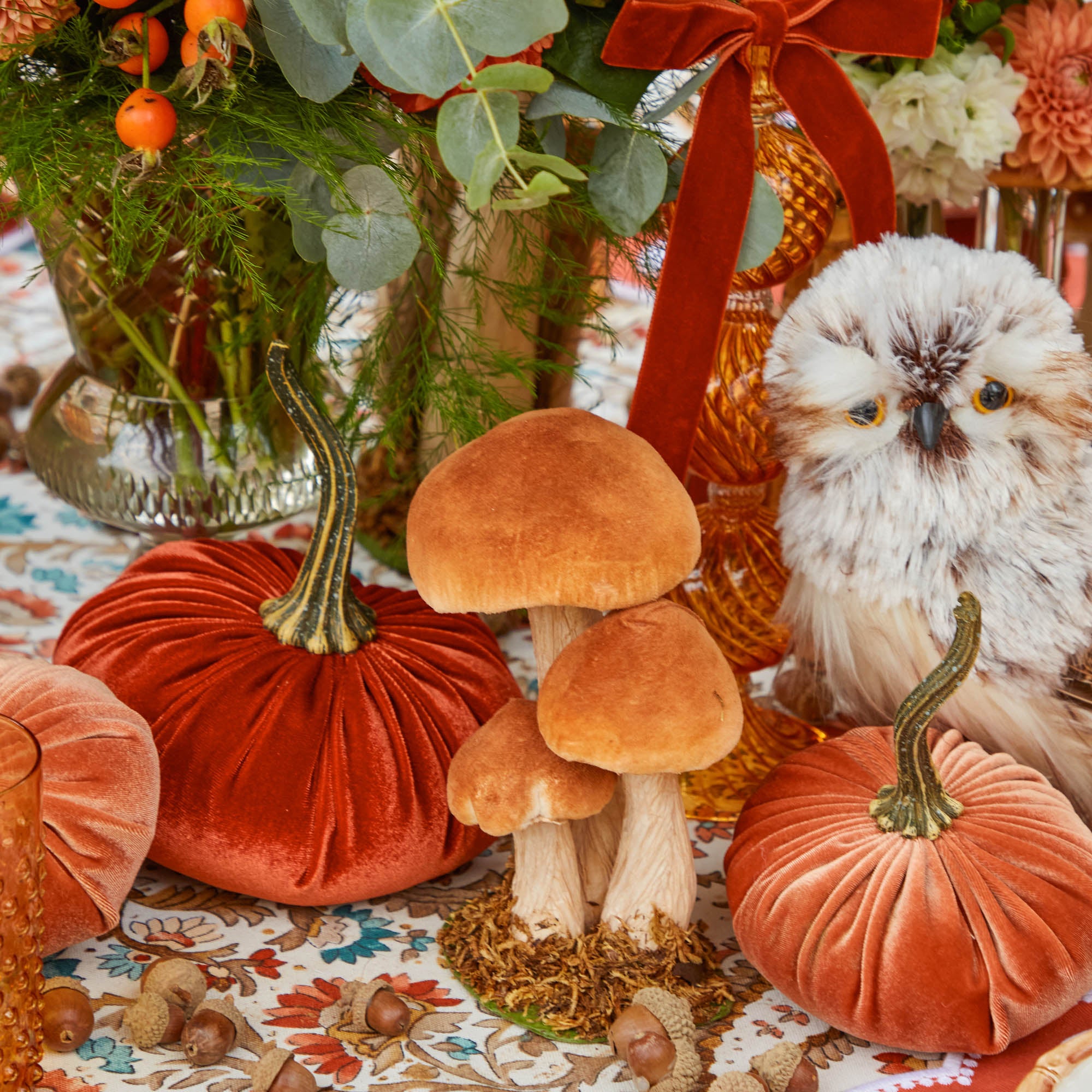 Small Mixed Mushroom Set