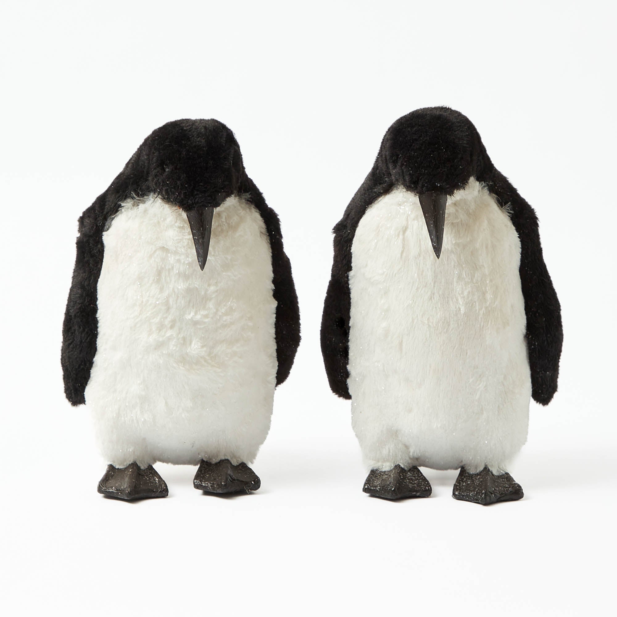 Patrick the Penguin (Pair)