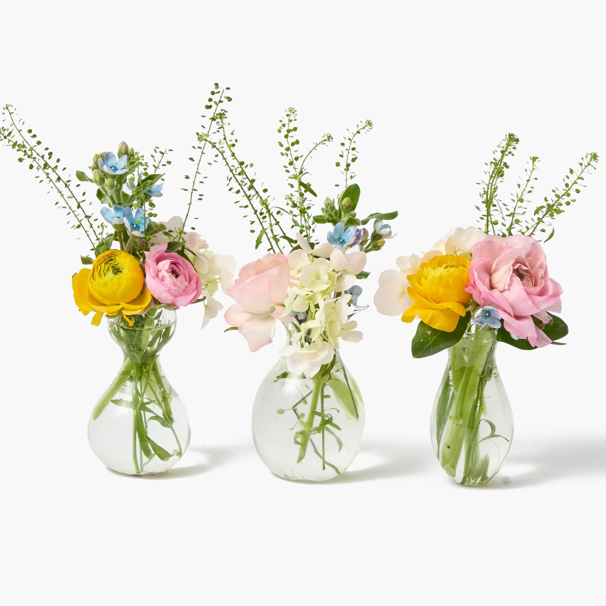 Ava Bud Vase Set