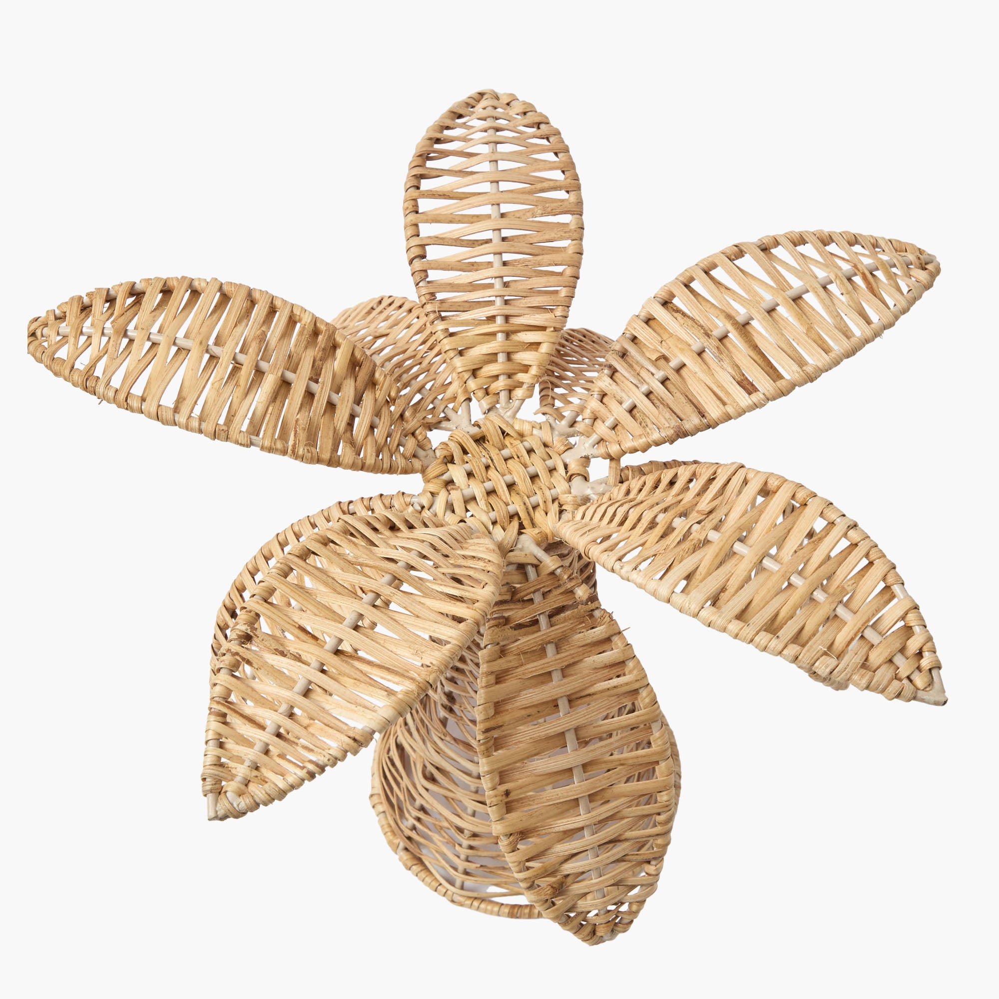 Large Rattan Palm Tree (Pair)