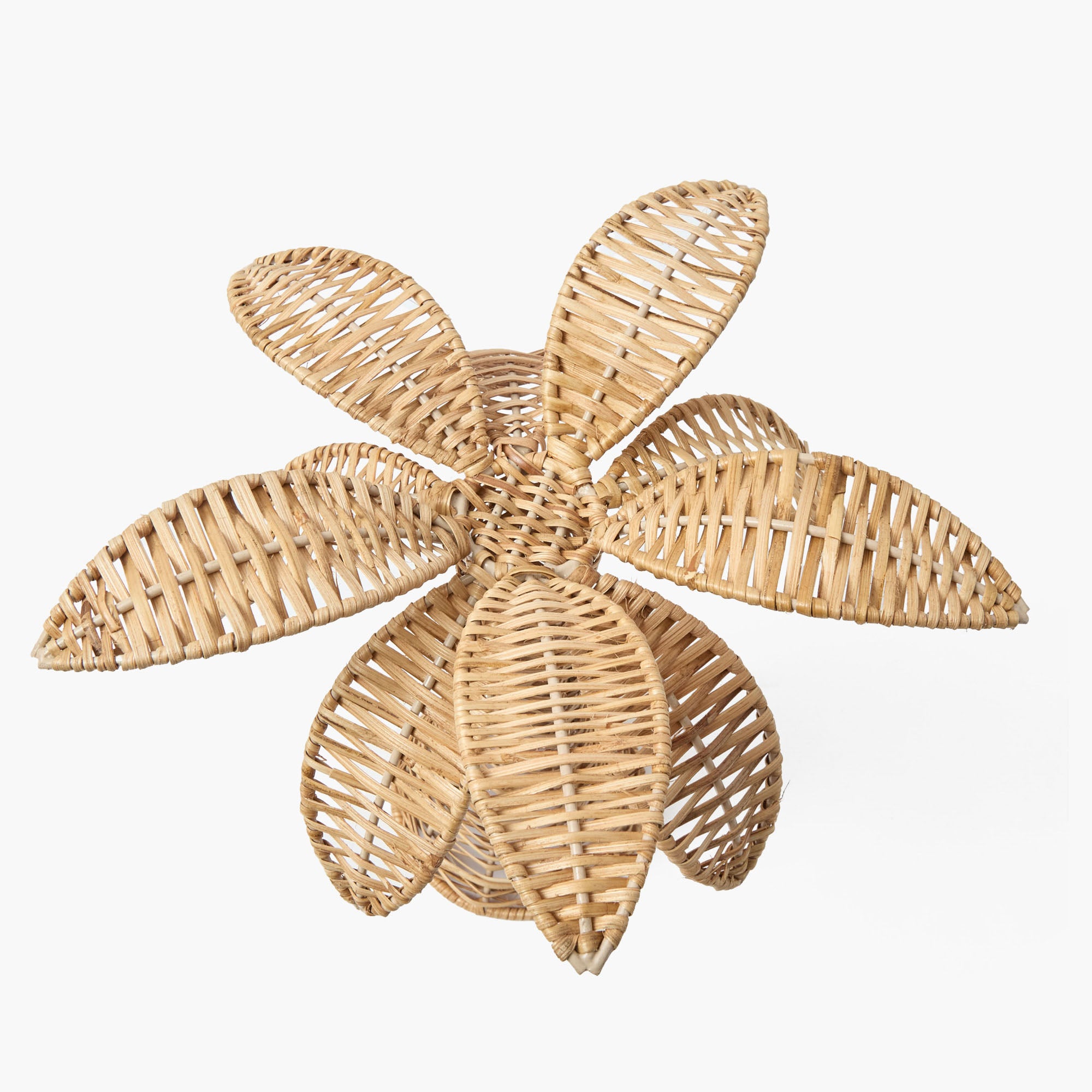 Small Rattan Palm Tree (Pair)