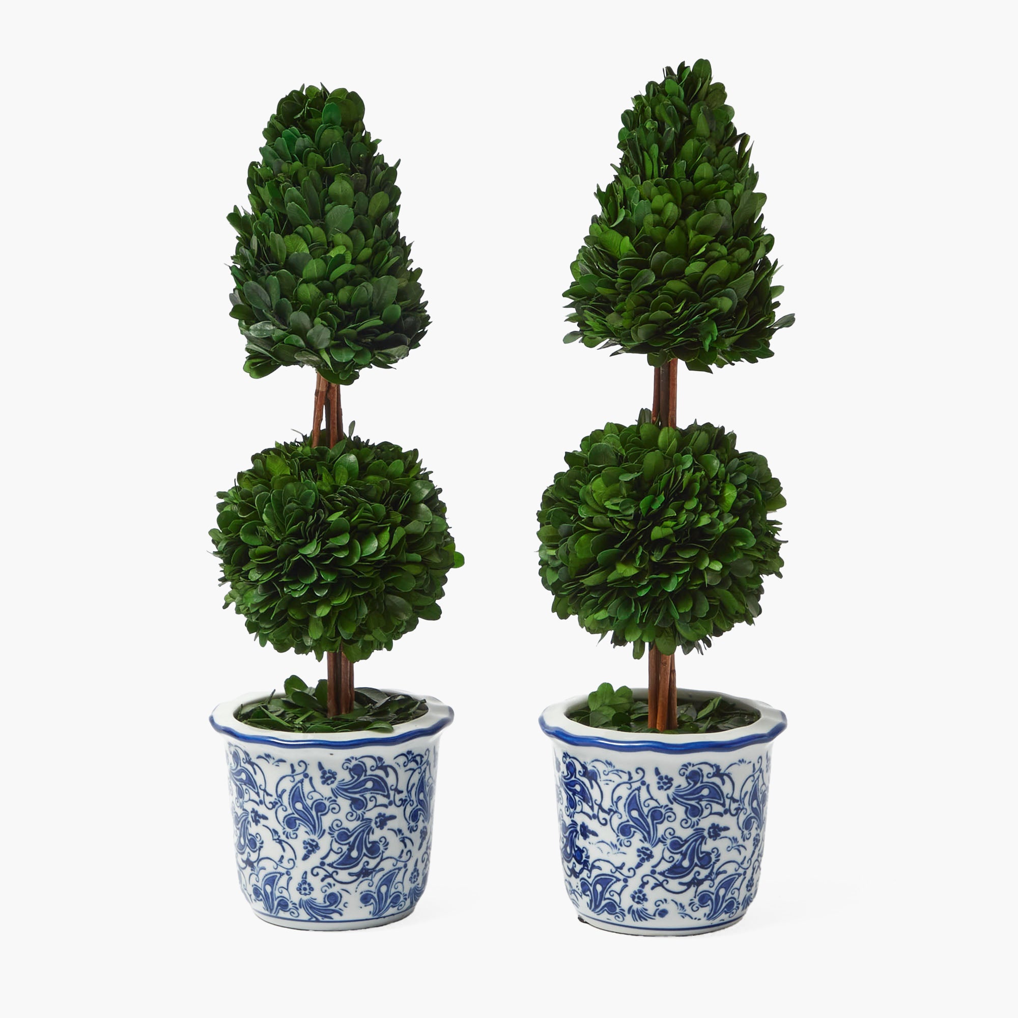 Elevate your decor with the Chinoiserie Potted Boxwood Tree Pair, a classic duo that adds a touch of timeless elegance to your space.