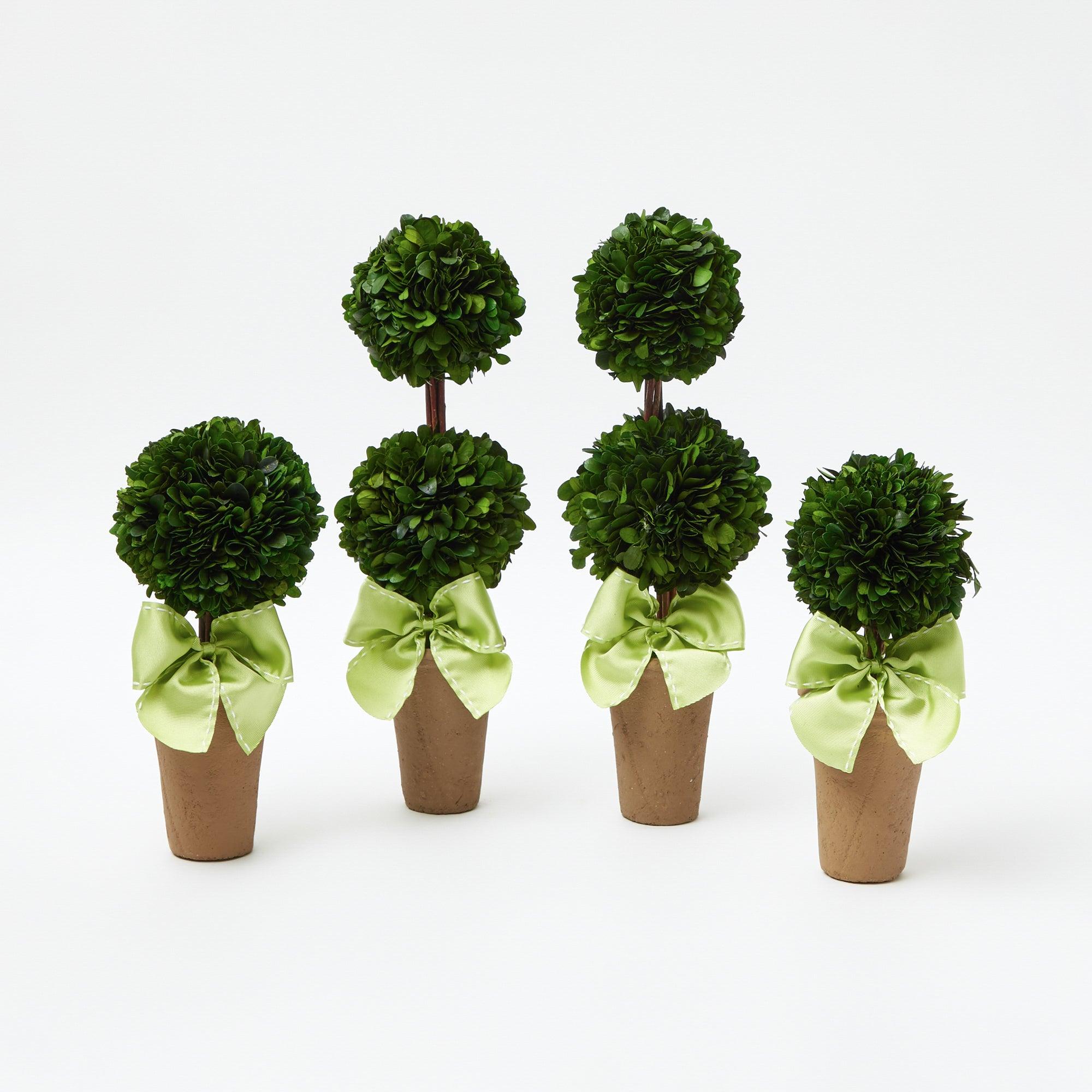 Potted Boxwood Ball with Green Bow (Pair) - Mrs. Alice