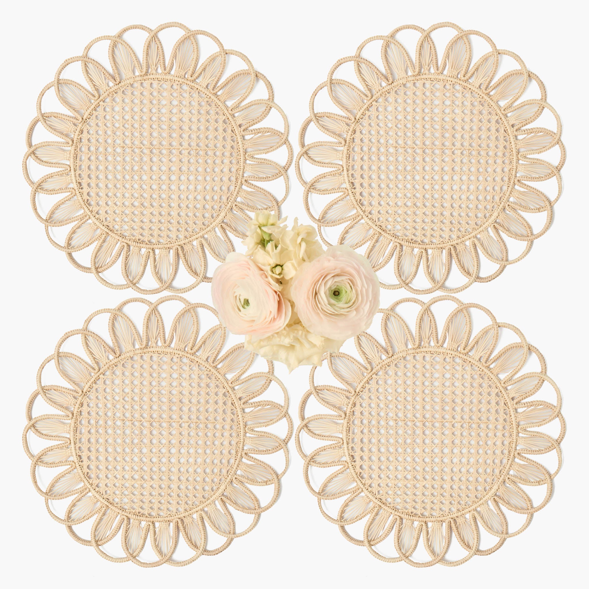 Cara Woven Placemats (Set of 4)