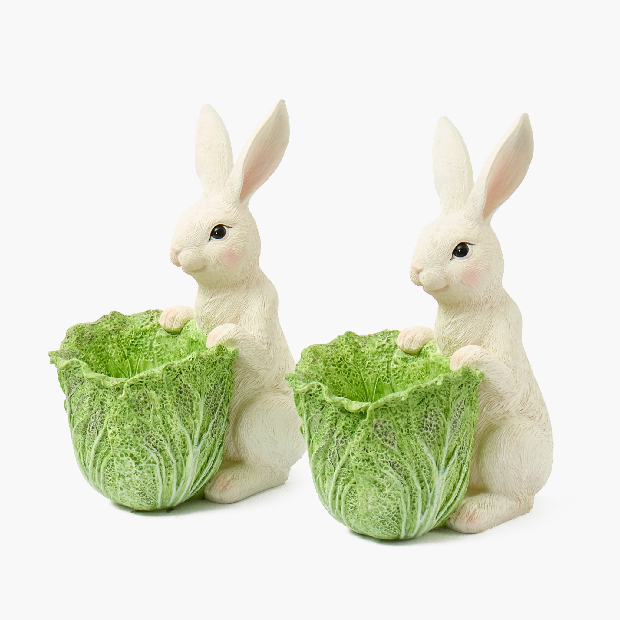 Cabbage Bunny Bowl (Pair)
