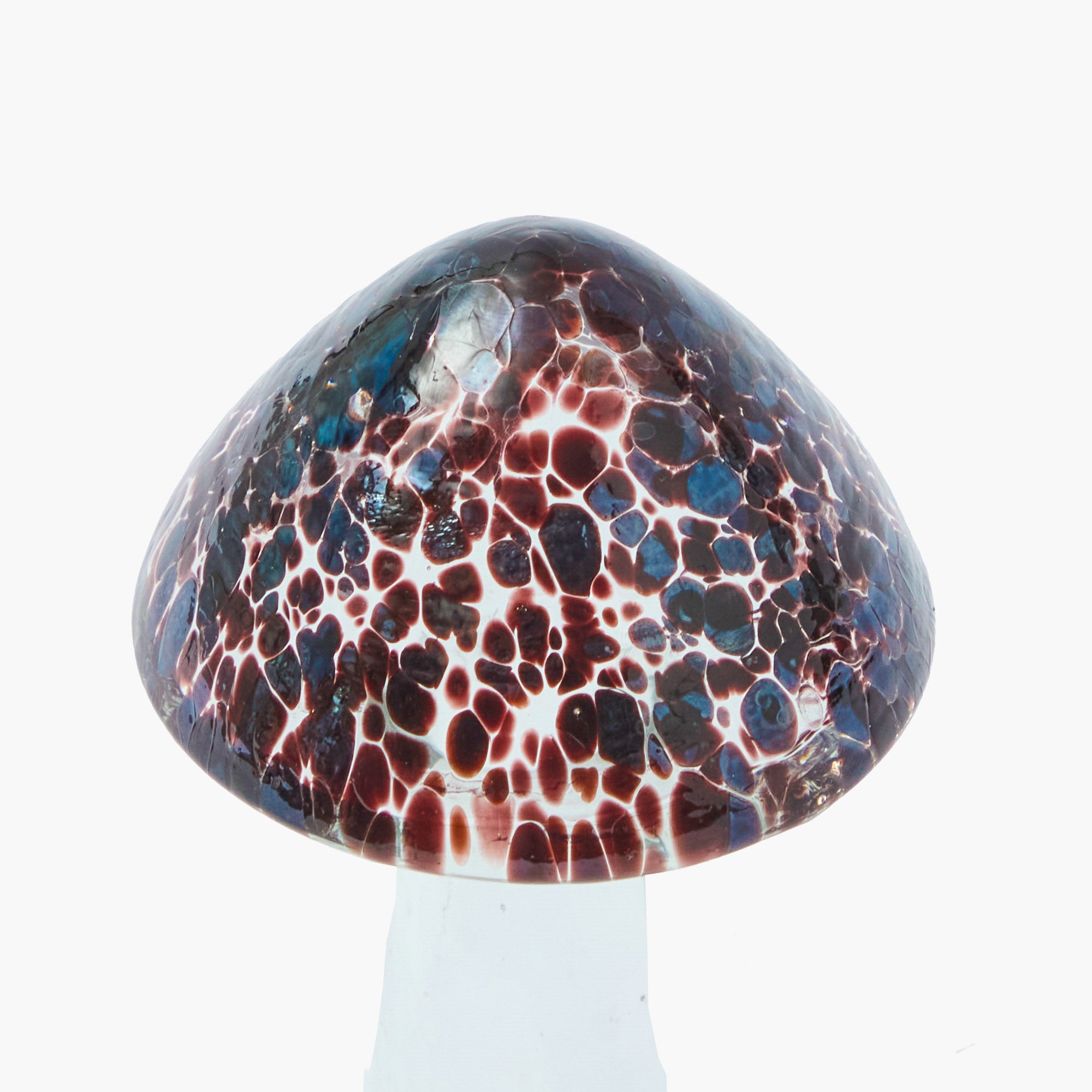 Brown Speckled Glass Mushroom Family