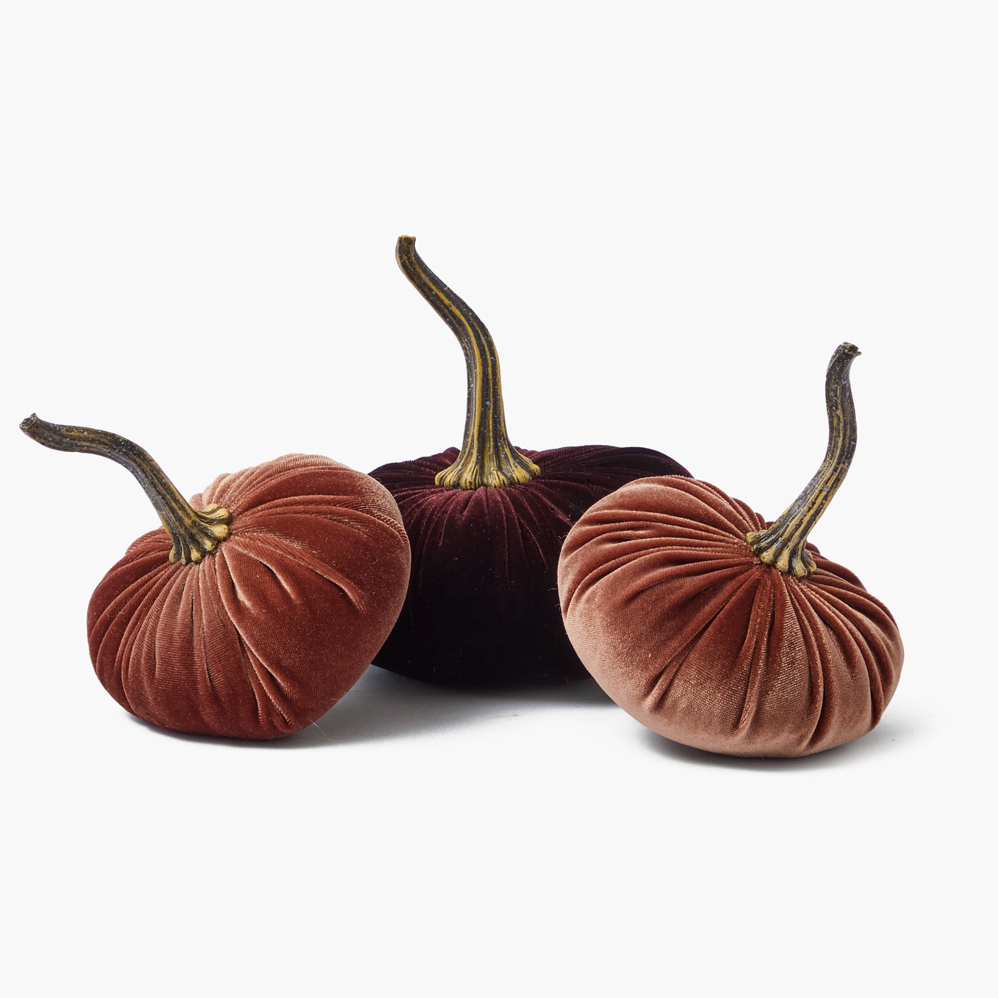 Brown Velvet Pumpkin Family