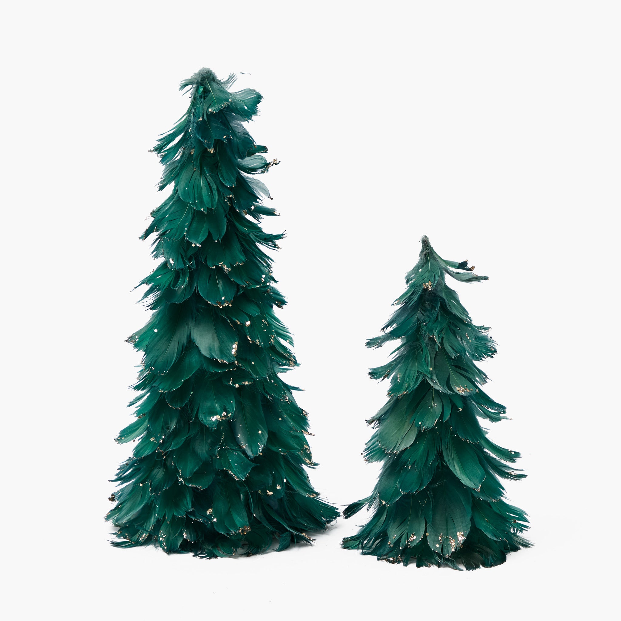Two green feather christmas trees on a white background