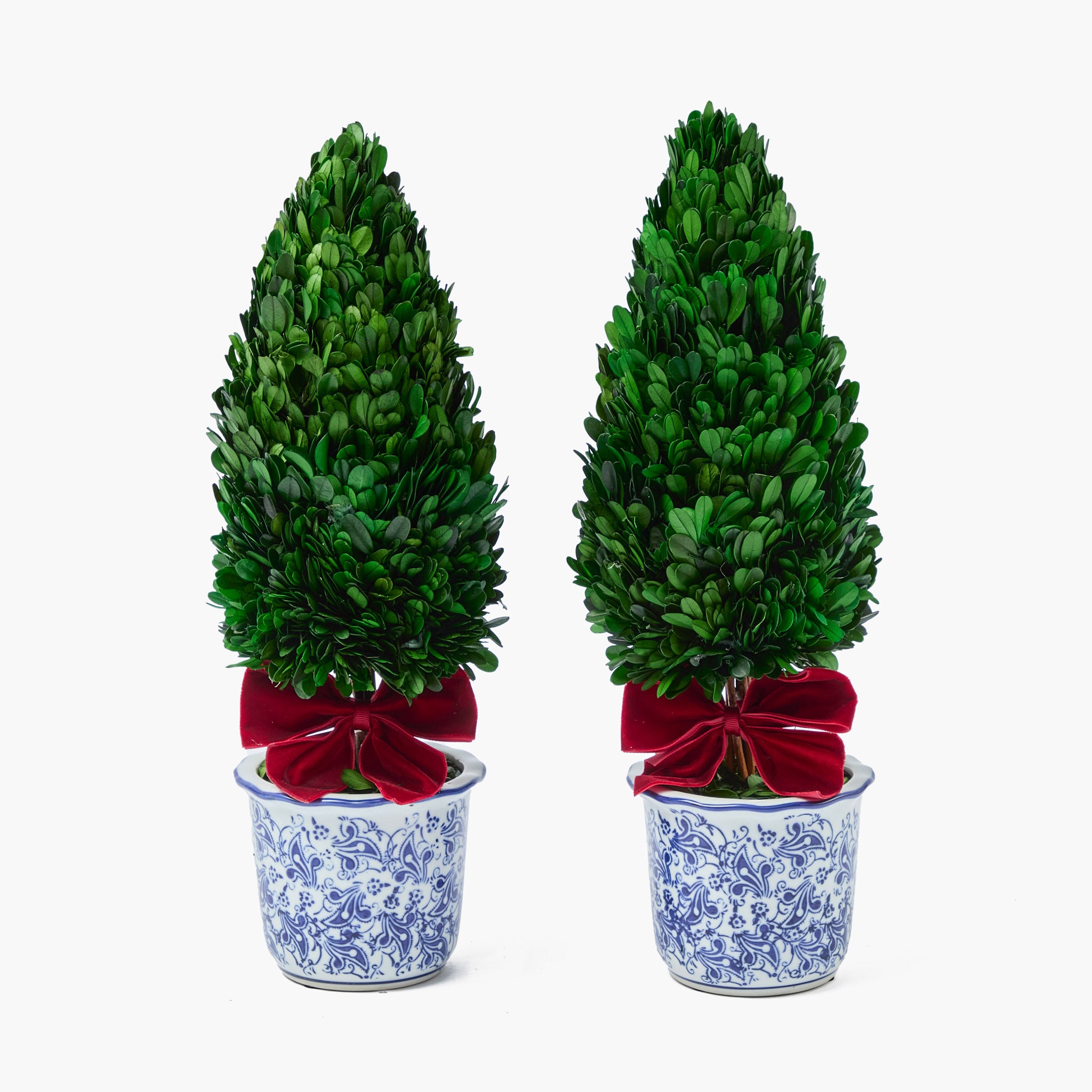 Red Ribboned Chinoiserie Potted Boxwood Trees (Pair)