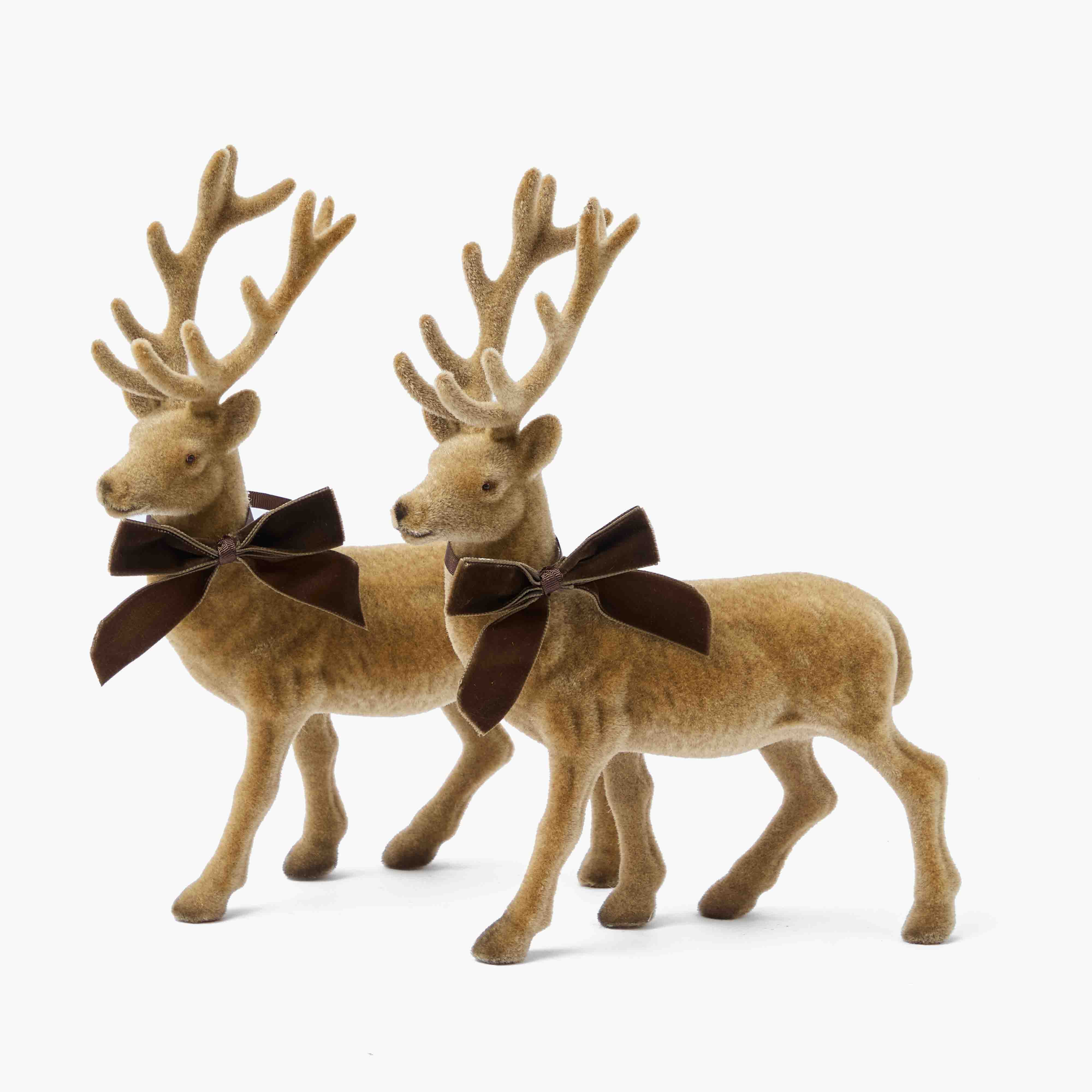 Large Chocolate Ribboned Taupe Flocked Reindeer (Pair)