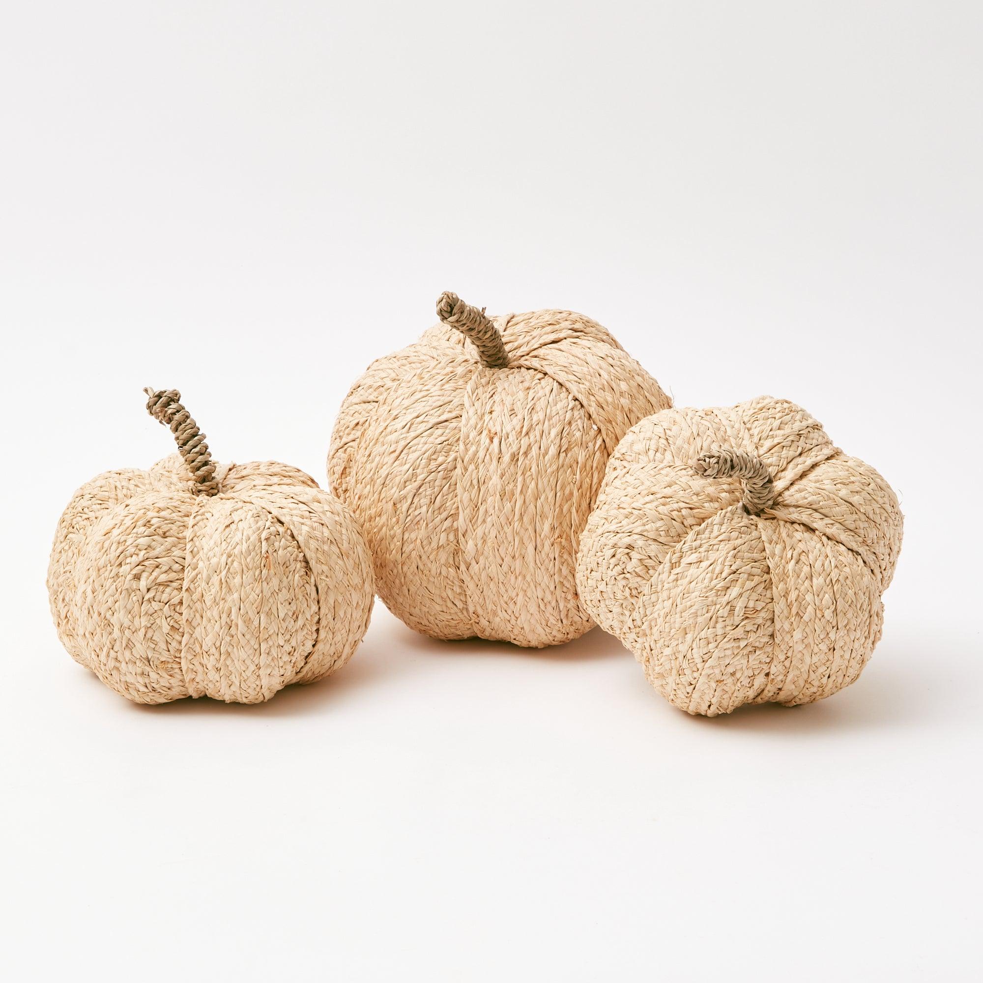 Charming Raffia Pumpkin Family for seasonal decor.