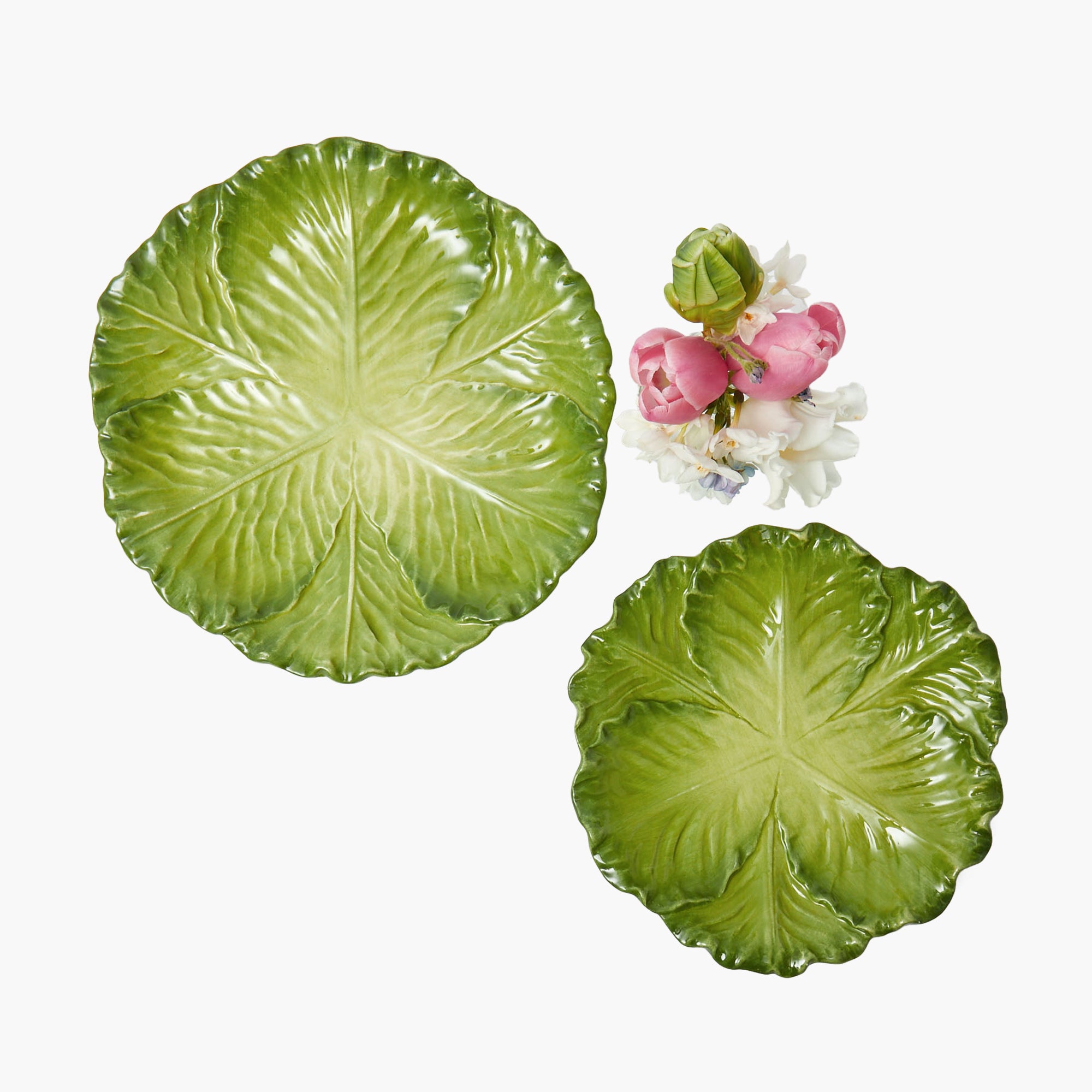 Green Serena Cabbage Starter Plate