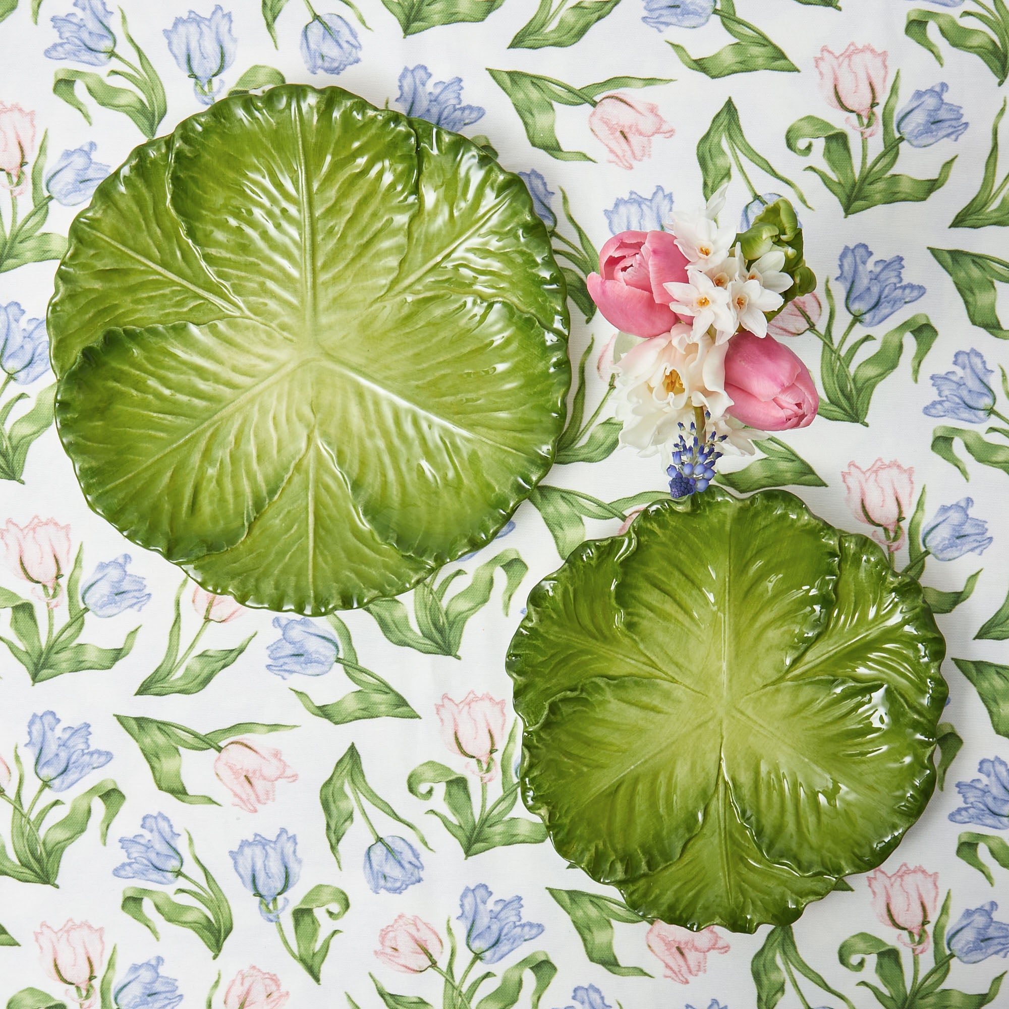 Green Serena Cabbage Starter Plate