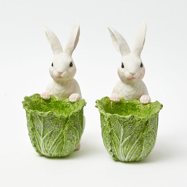Cabbage Bunny Bowl (Pair)