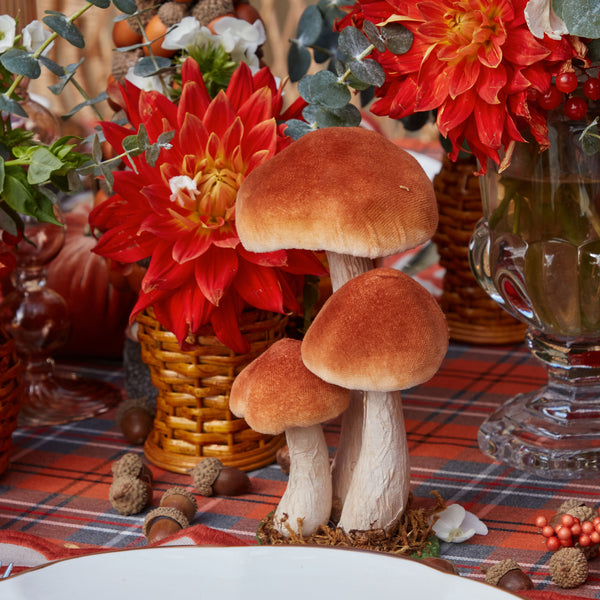 Add a touch of whimsy to your home with the Small Orange Velvet Mushroom Set, perfect for cozy corners.