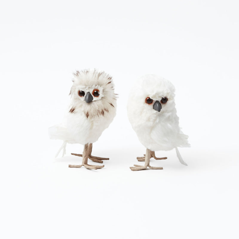 Pair of Small Snowy Owlets: Whimsical companions.