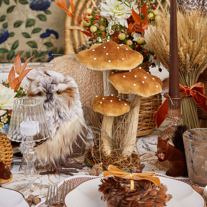 Infuse your home with the whimsy of the Tall Mixed Mushroom Set, carefully selected for a visually captivating display.