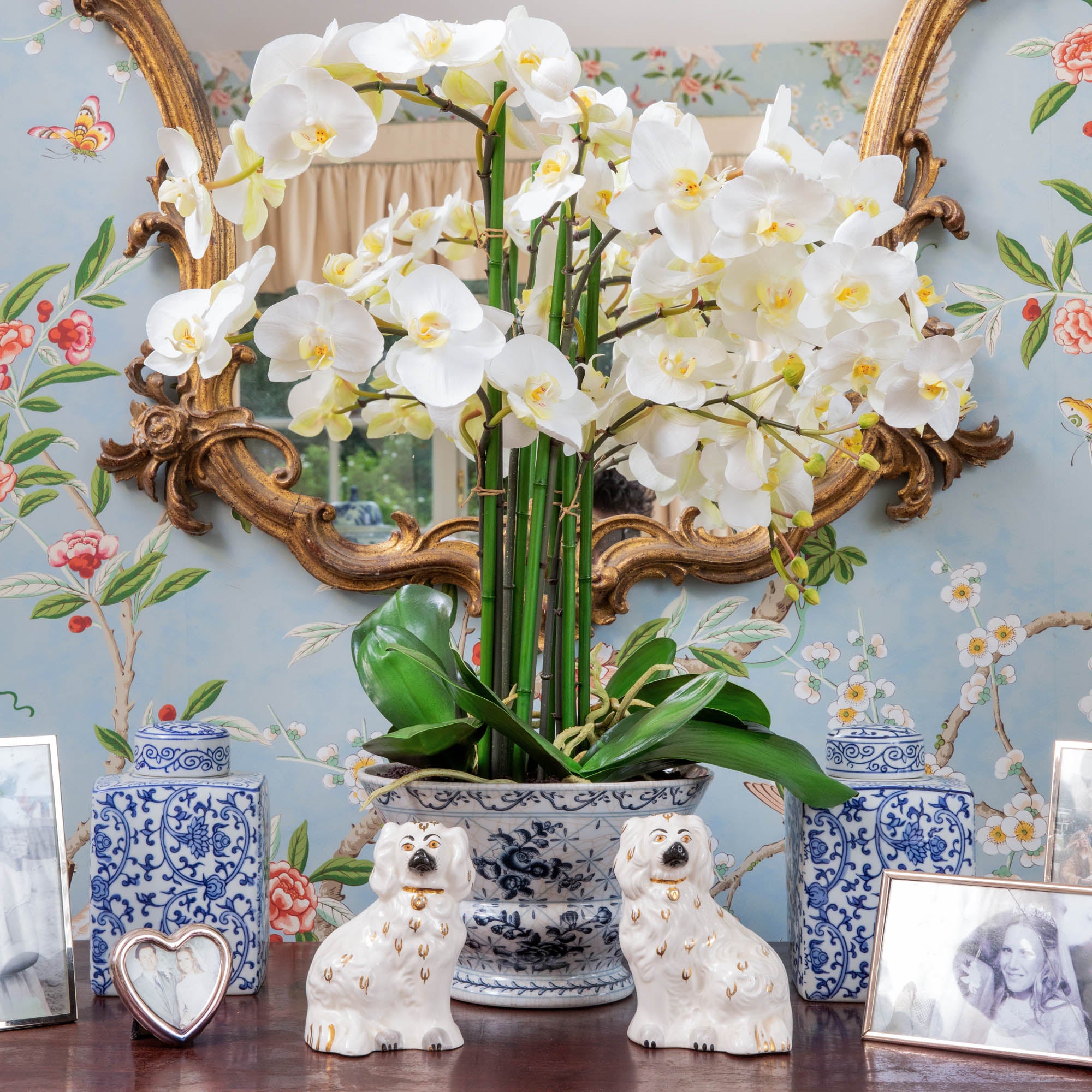 Quasi Naturale 1458-bu Giardino Di Orchidea E Piante Grasse In Vaso Bianco - Decorazione 21x13x10 Pollici