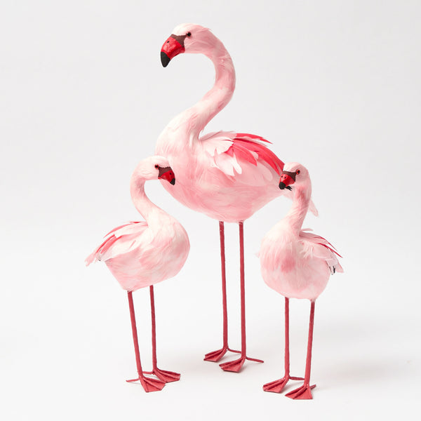 Faye Flamingo Family