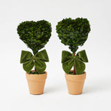 Heart Shaped Potted Boxwood Tree (Pair)