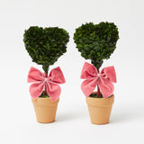 Heart Shaped Potted Boxwood Tree (Pair)