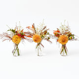 Ava Bud Vase Set