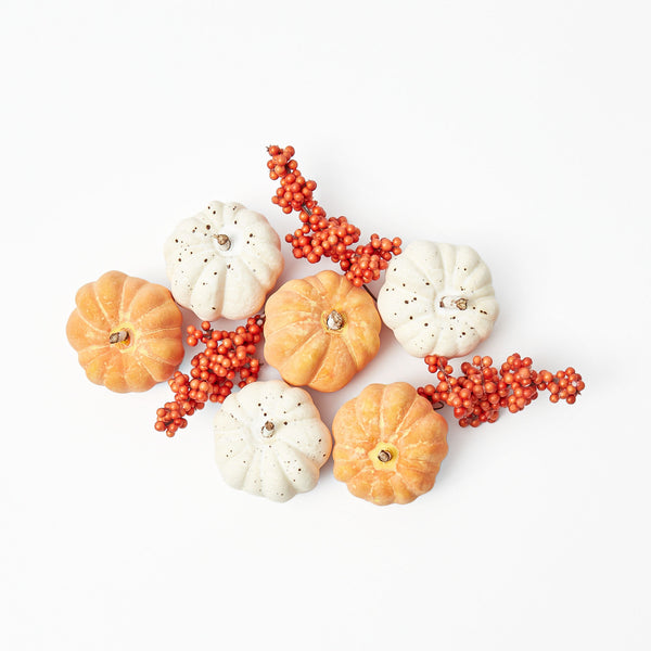 Embrace fall vibes with this delightful Mini Pumpkins and Berries ensemble.