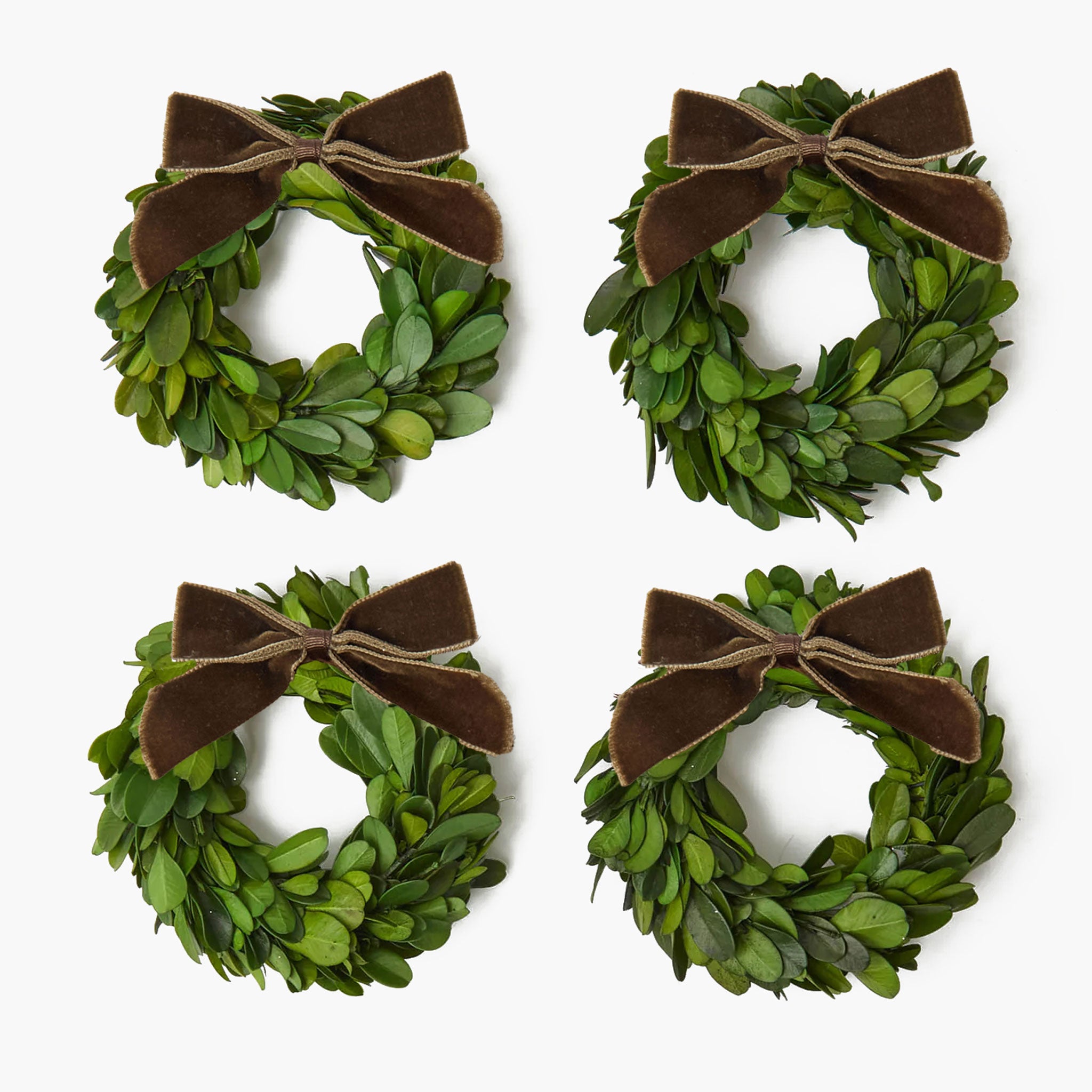 Boxwood Wreaths with Chocolate Velvet Bows (Set of 4)