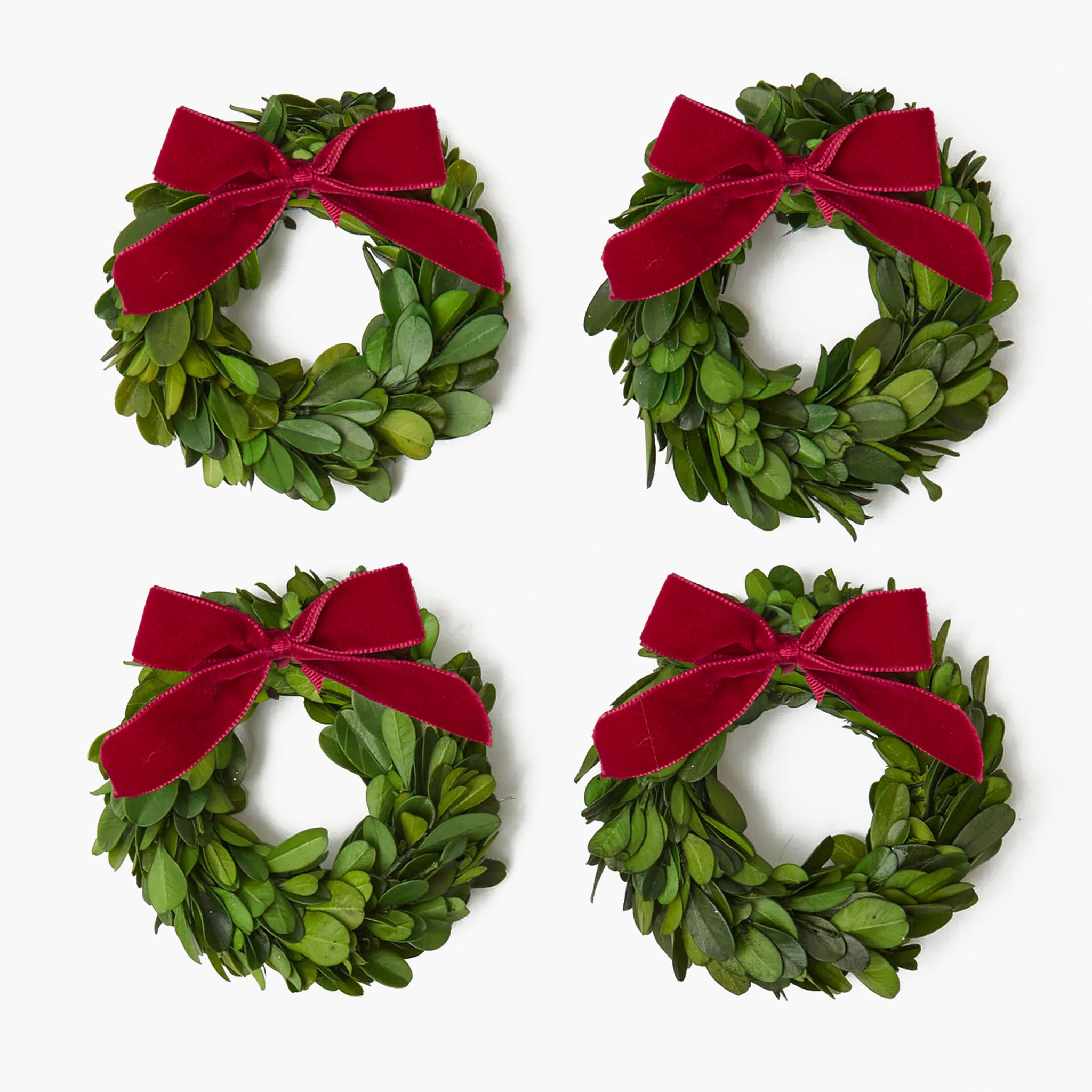 Boxwood Wreaths with Red Velvet Bows (Set of 4)