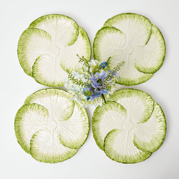 Capri Lettuce Dinner Plate (Set of 4) - Mrs. Alice